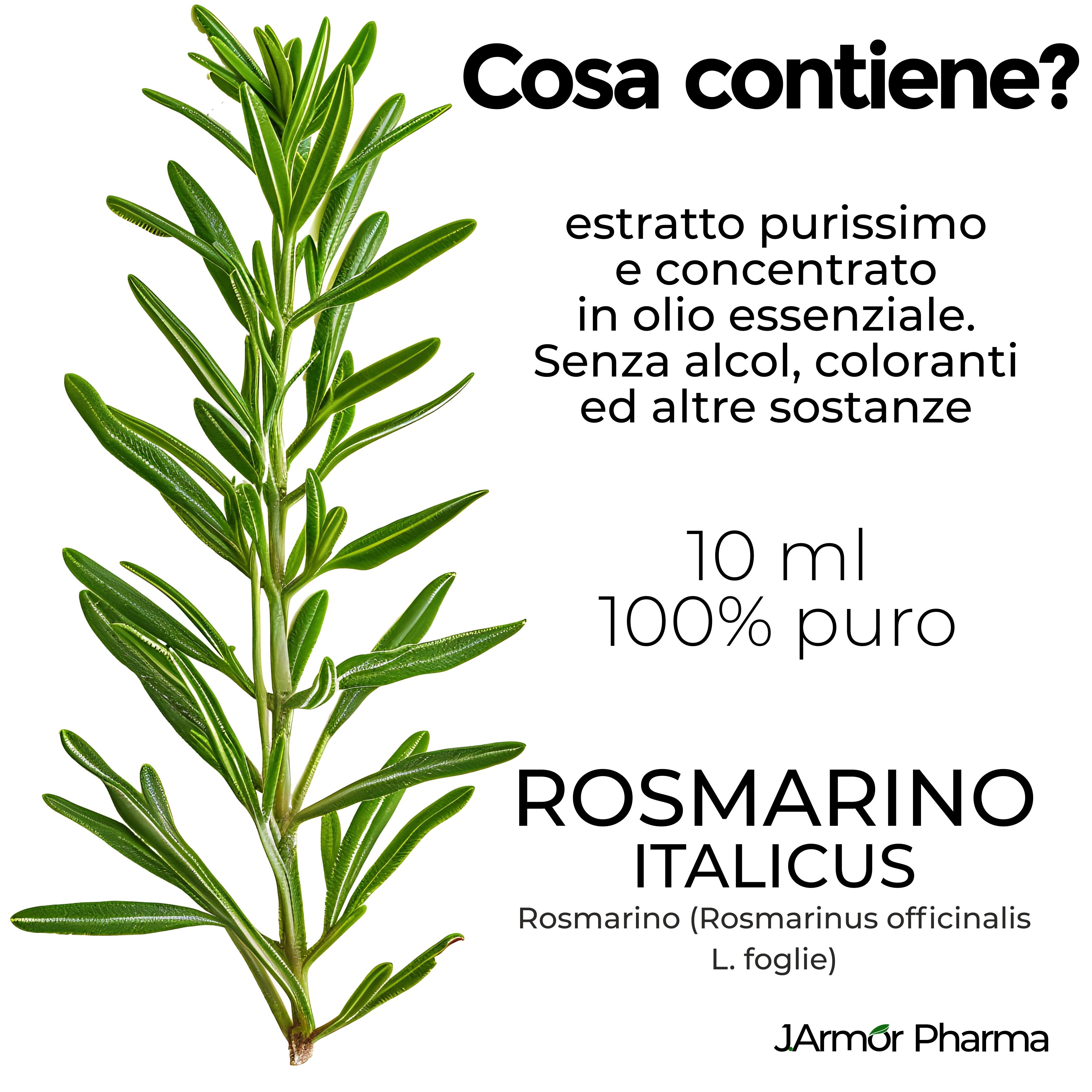 Olio Essenziale di Rosmarino Puro 10 ml - Integratore alimentare Crescita Capelli, Antiforfora