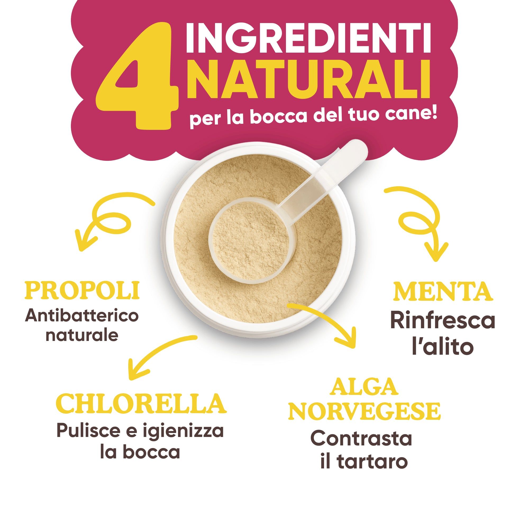 Contenitore con polvere e misurino. Testo: 4 ingredienti naturali. Frecce verso propoli, menta, clorella, alghe.