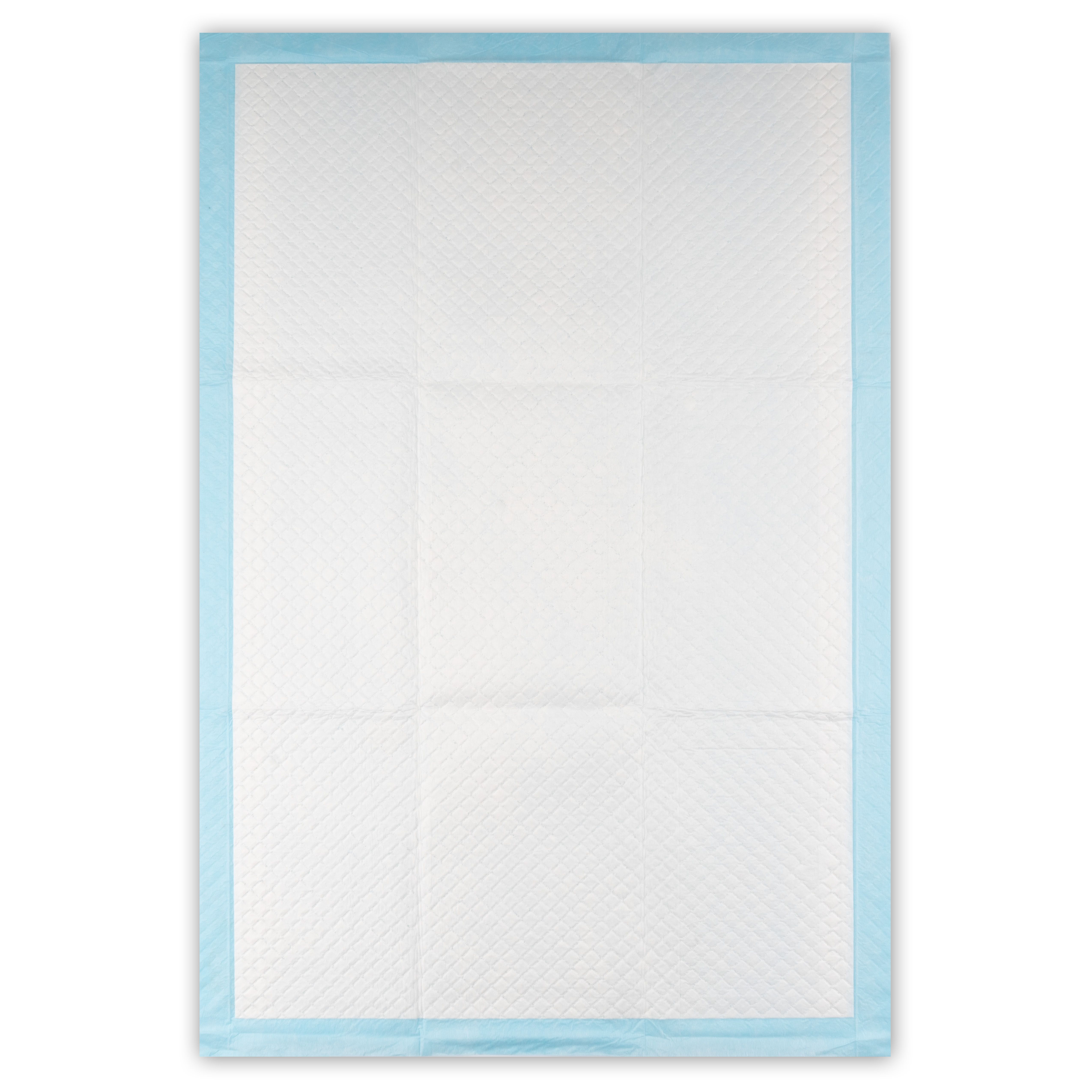 Traversa monouso rettangolare bianca con bordo azzurro. La superficie è divisa in quadrati.