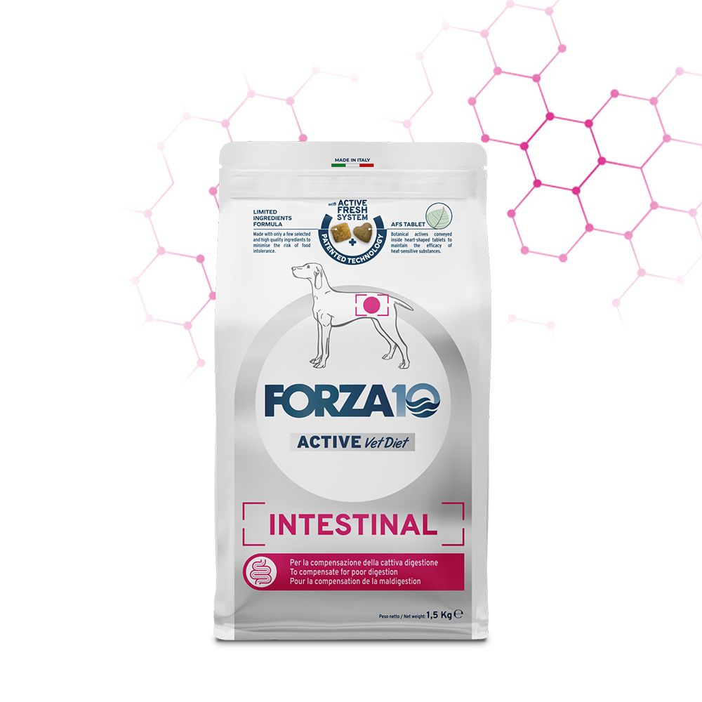 Forza 10 Intestinal Active cane all size