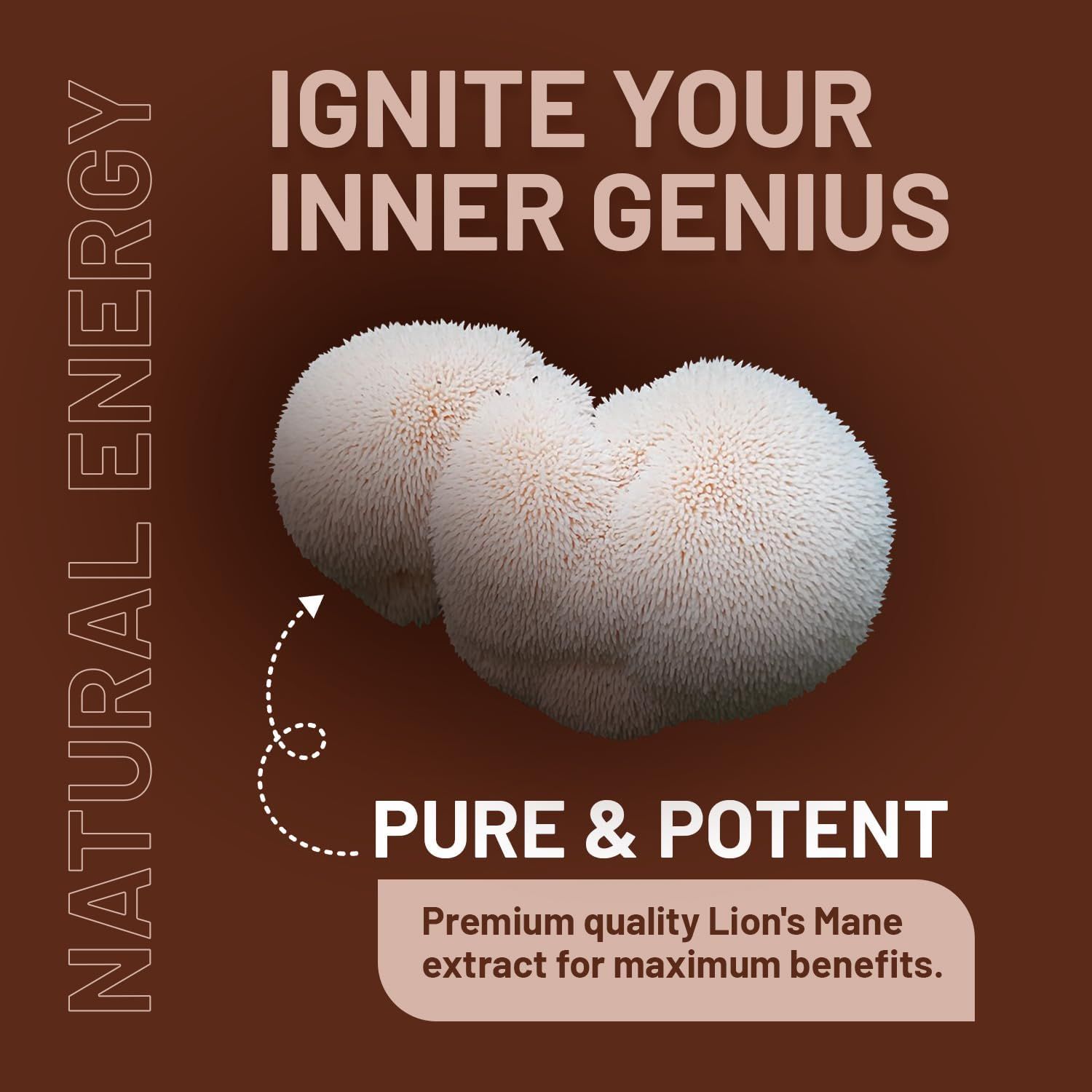 Due funghi bianchi e pelosi a criniera di leone. Testo: Puro e potente, estratto di criniera di leone di alta qualità.