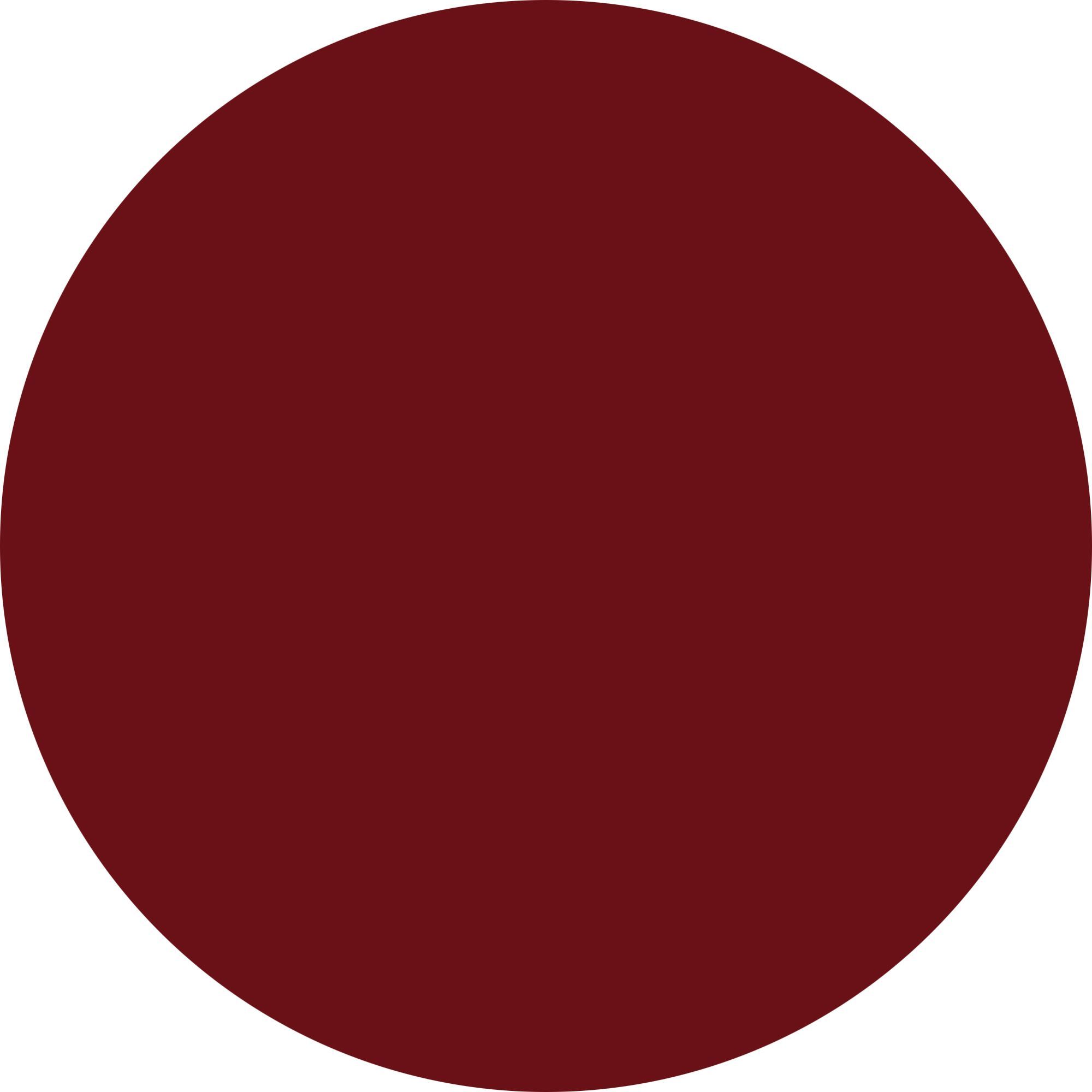 WYCON cosmetics blooming shine 06 red hibiscus