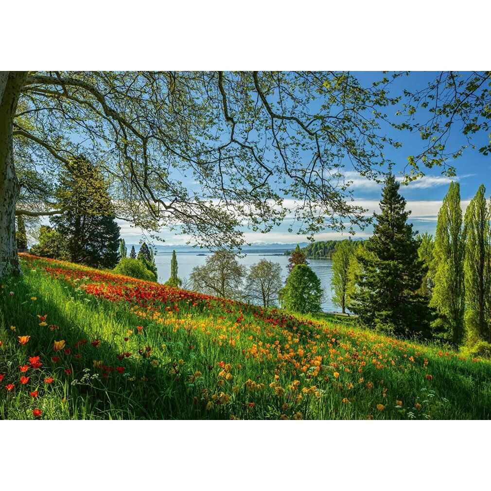 Puzzle schmidt Tulipani in fiore sull'isola di Mainau 1000 pezzi