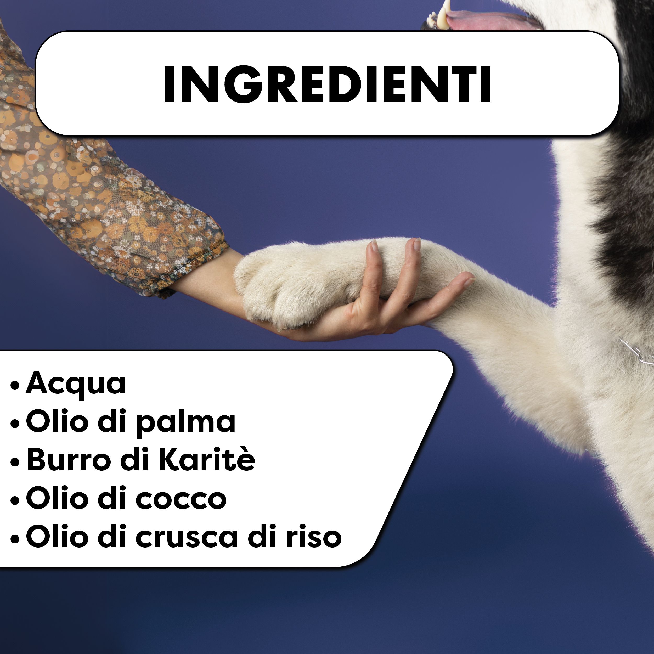 Ingredienti: Acqua, olio di palma, burro di karité, olio di cocco, olio di crusca di riso. Zampa di cane.