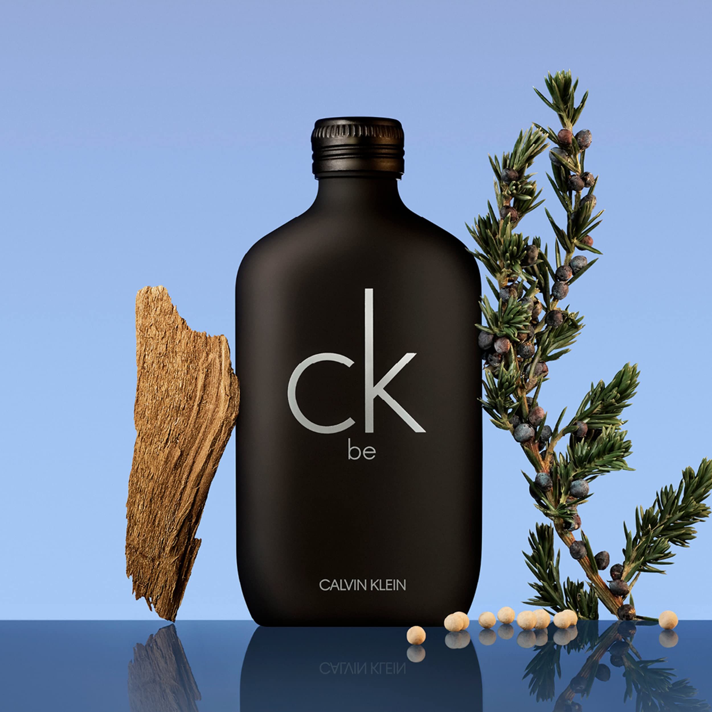 Flacone nero di Calvin Klein CK Be Eau de Toilette con legno e ramo. Scritta: ck be, Calvin Klein.