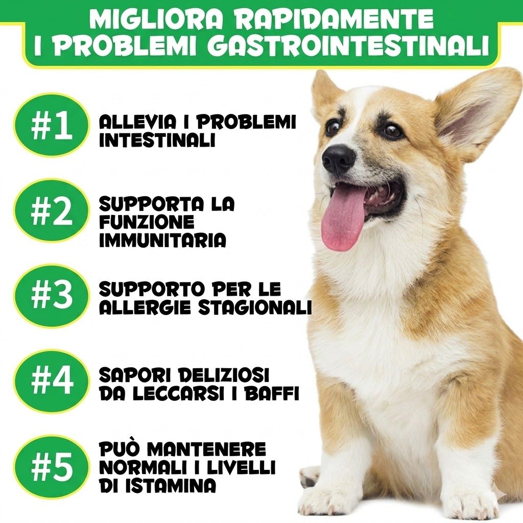 Cane Corgi con la lingua. Testo: Migliora rapidamente i problemi gastrointestinali. 5 vantaggi elencati in cerchi verdi.