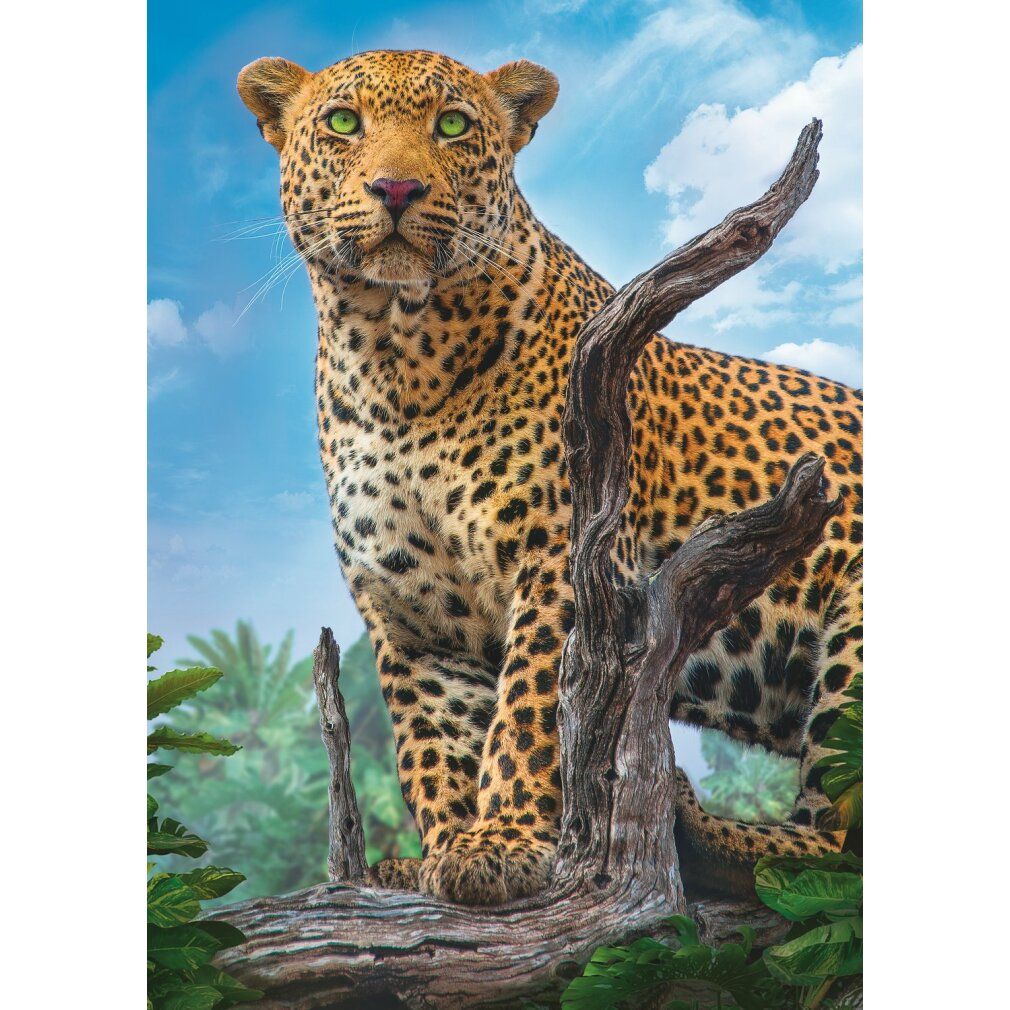 Puzzle premium 500 pezzi - leopardo selvatico