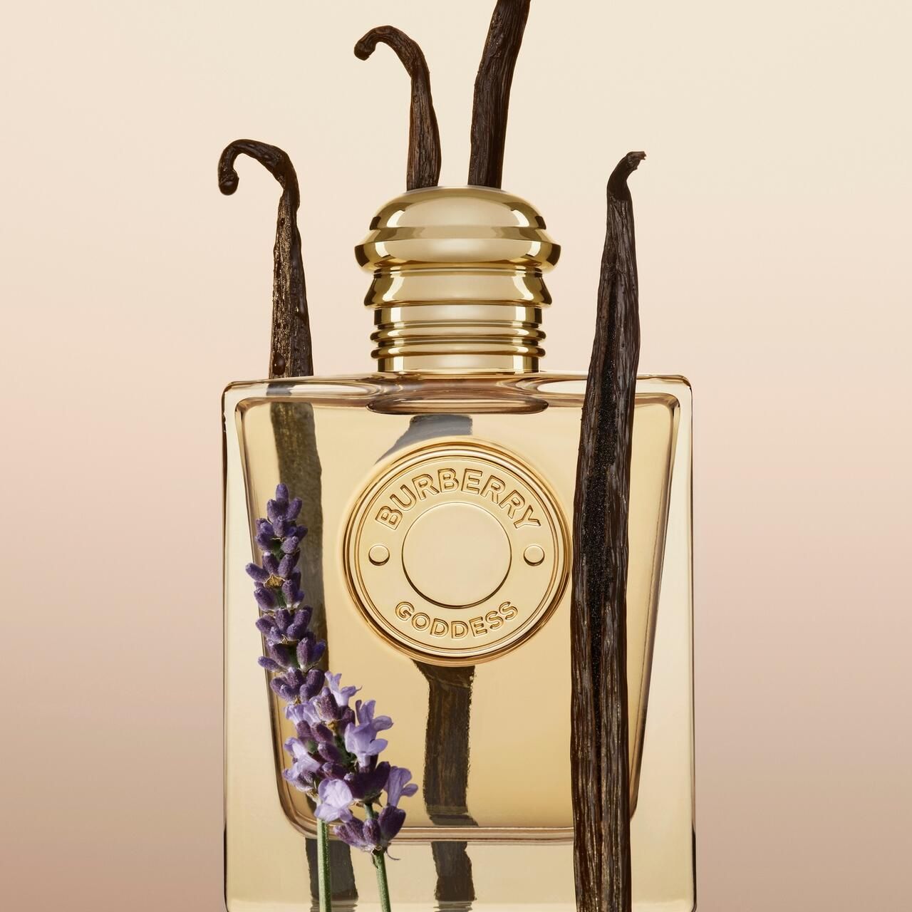 Flacone dorato con baccelli di vaniglia e lavanda. Logo Burberry Goddess sul davanti.