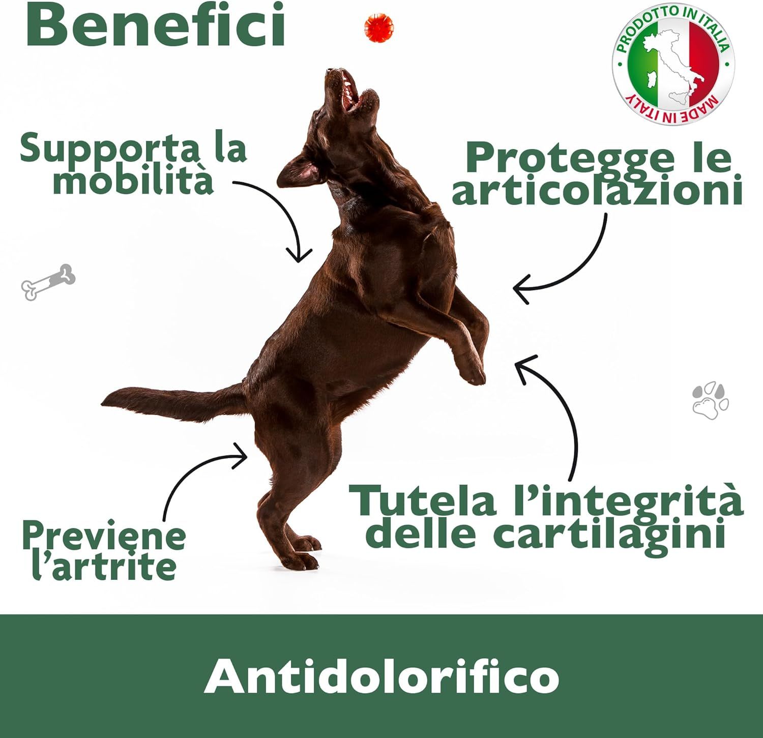 Florapet Mobilcare Mangime Complementare Articolazioni Cane 60 Compresse, Supporta la Mobilità