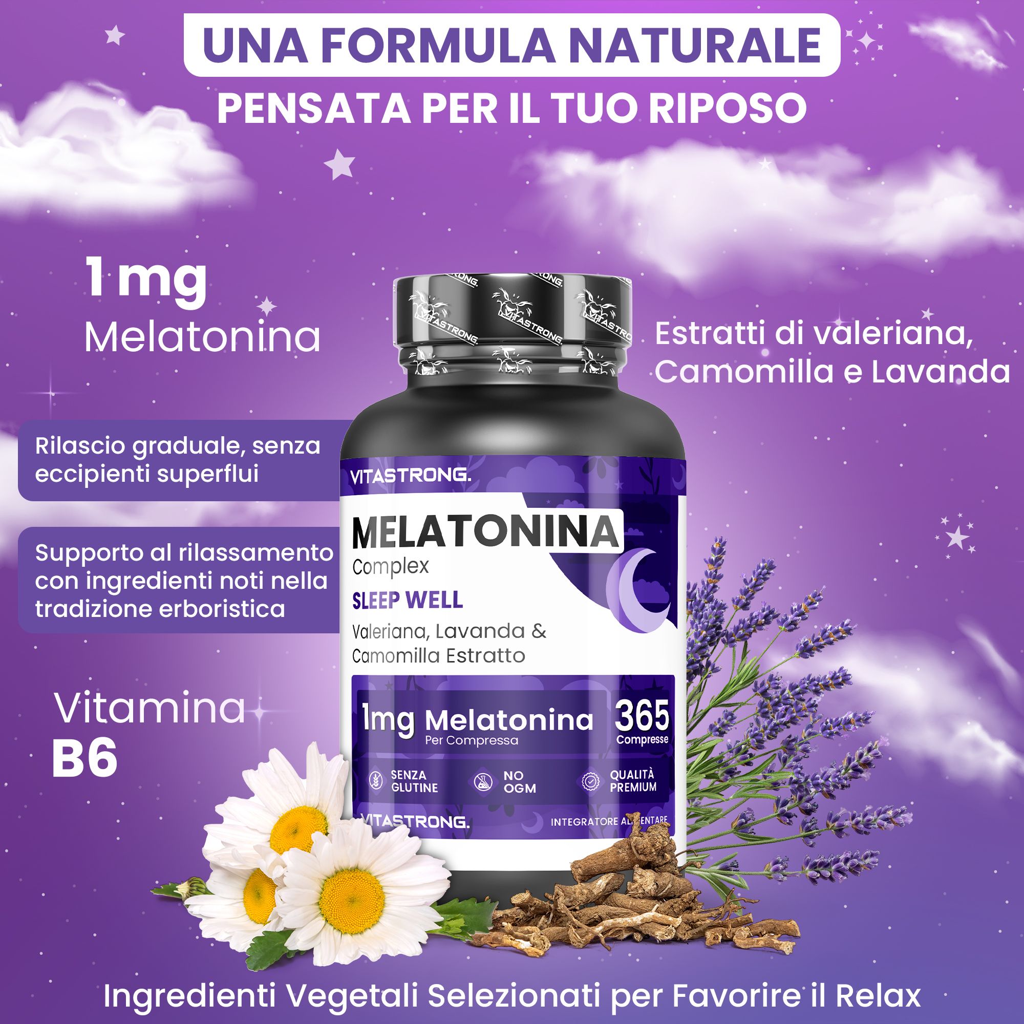 Tre ingredienti: valeriana, camomilla, lavanda. In cucchiai di legno. Sfondo viola.