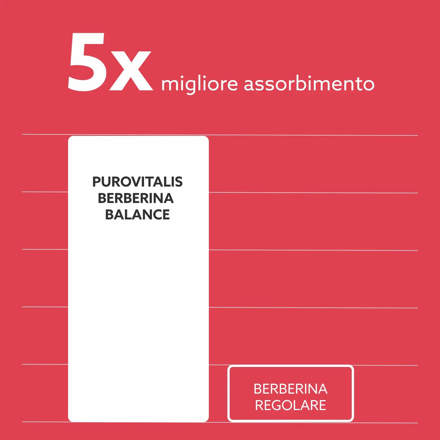 Diagramma con barre. Testo: 5x migliore assorbimento. Purovitalis Berberine Balance e berberina regolare.