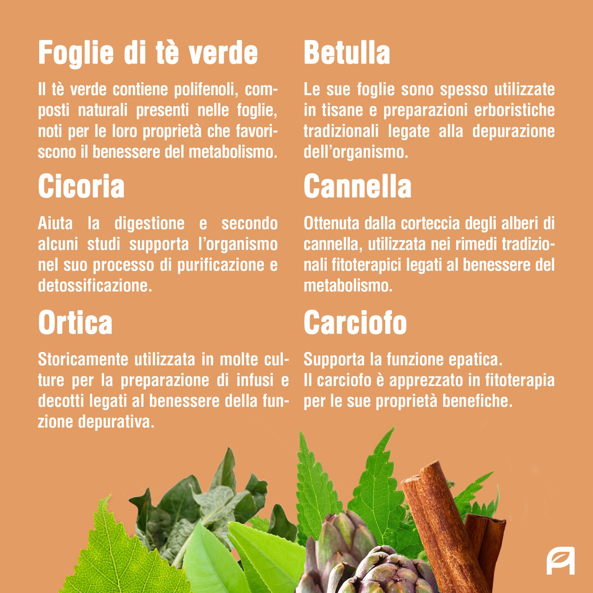 Vitativ® Vita Slim | Integratore Drenante con Tè Verde, Ortica, Cicoria, Cannella, Betulla, Carciofo