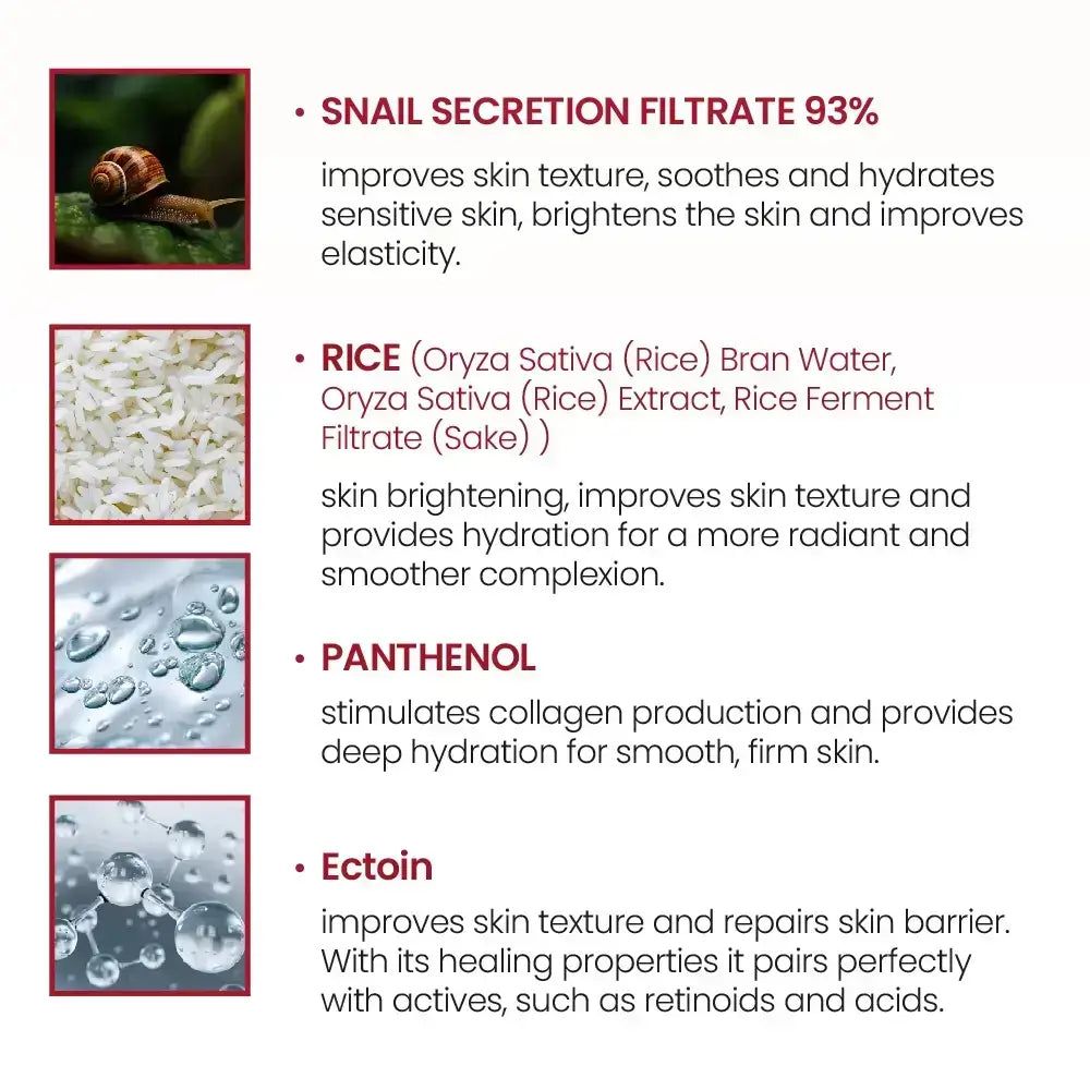 Infografica con ingredienti: secrezione di lumaca, riso, pantenolo, ectoina. Descrizioni degli ingredienti e dei loro effetti.