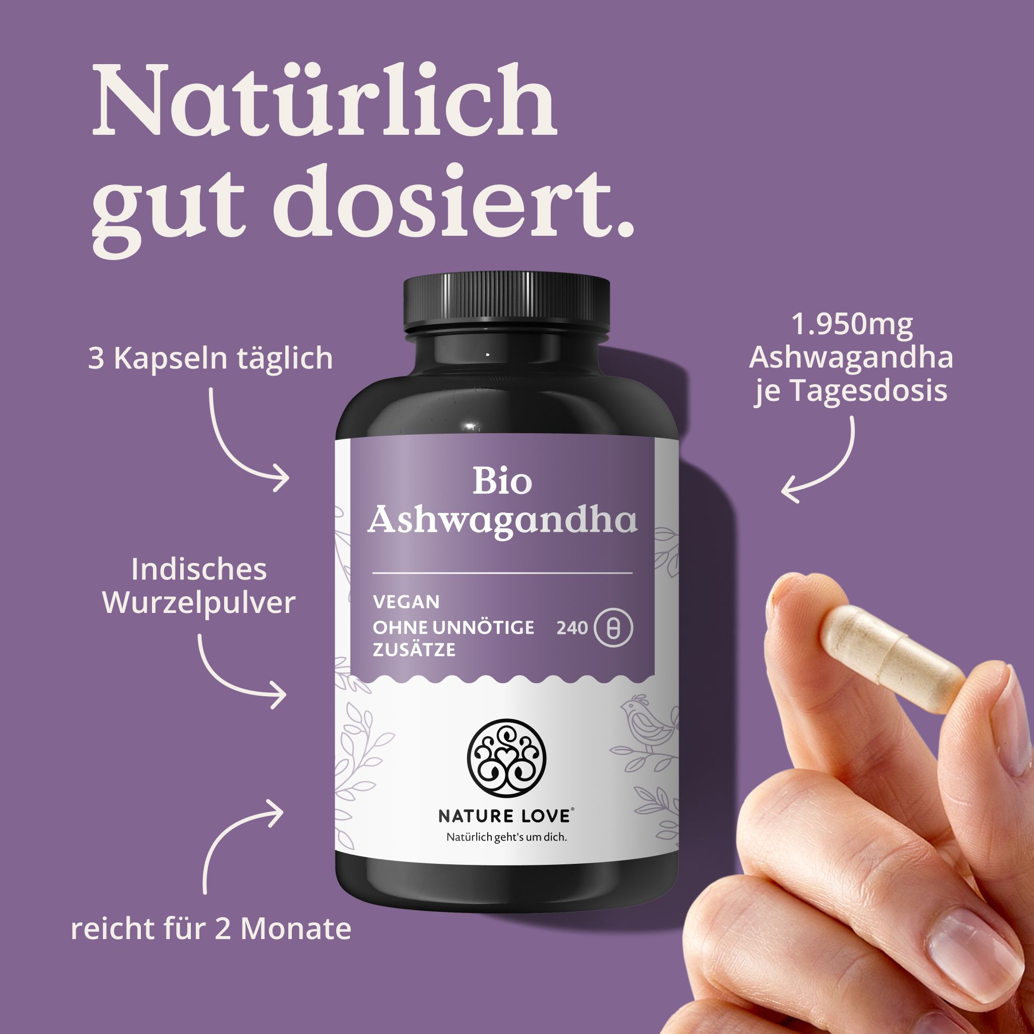Flacone di capsule Bio Ashwagandha, mano tiene una capsula, 1.950mg per dose giornaliera, polvere di radice indiana.