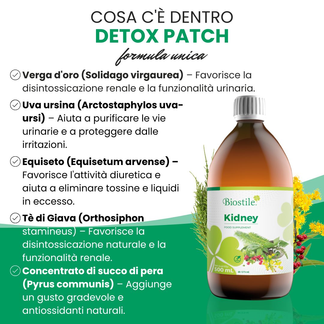 Bottiglia 'Biostile Kidney' accanto al testo. Testo: 'Cosa c'è dentro Detox Patch'. Elenco ingredienti ed effetti.
