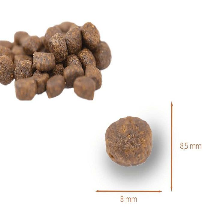 Primo piano di crocchette. Dimensioni: 8 mm x 8,5 mm. Un singolo pellet a fuoco.