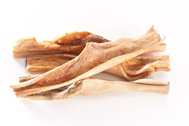 Diversi pezzi di pelle essiccata, beige-marrone, di forma irregolare, su sfondo bianco. Alcuni pezzi si sovrappongono.