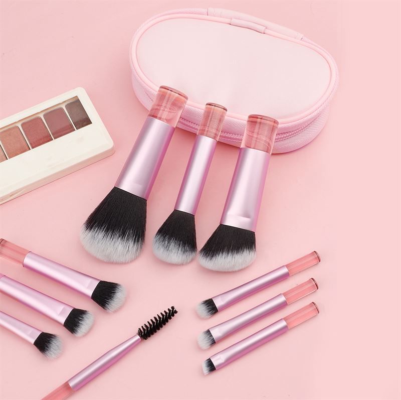 Set di pennelli con manici rosa e custodia rosa. Pennelli con setole nere e bianche. Alcuni pennelli sono sparsi.