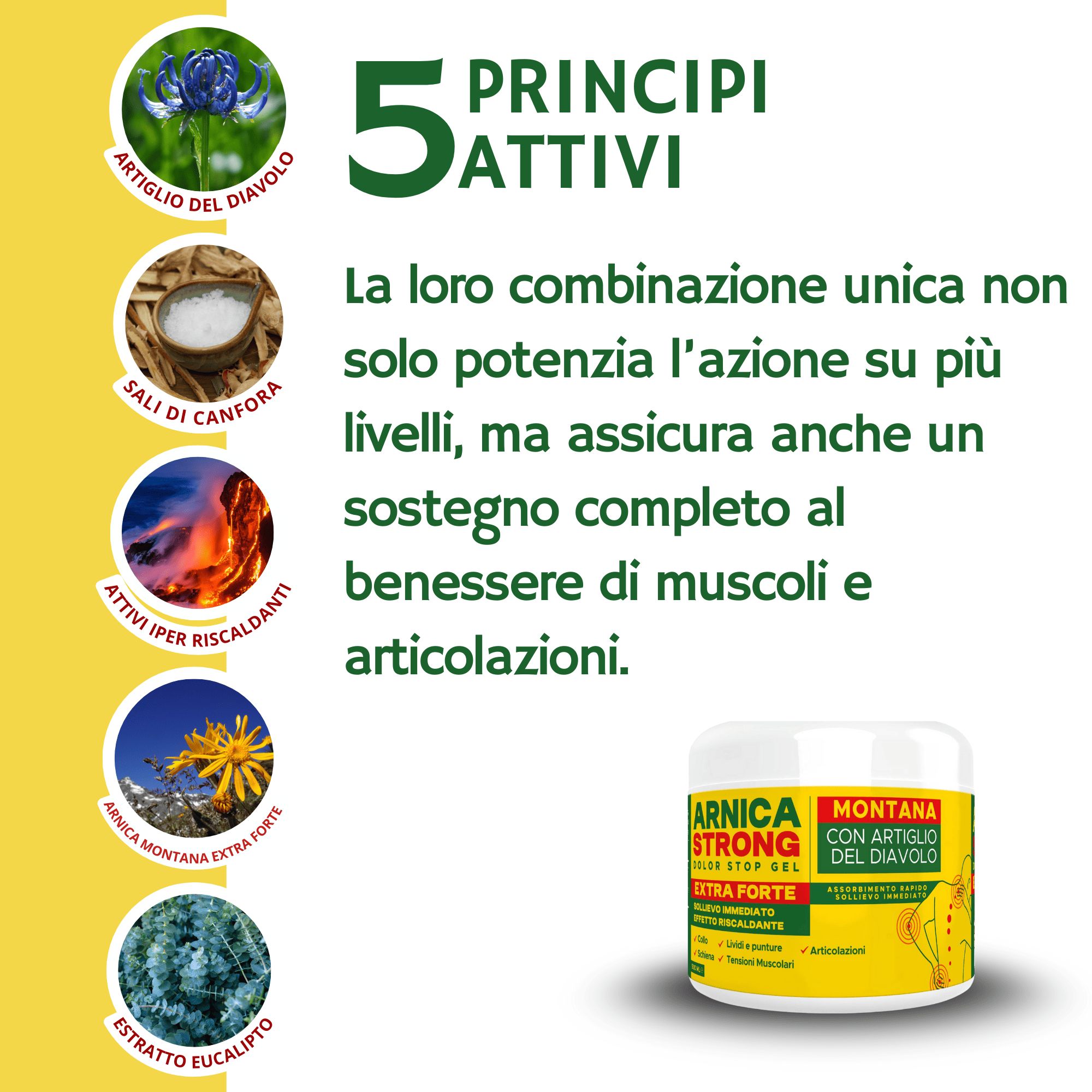 AMBIOPH - Arnica gel Forte - Arnica per cavalli uso amano e l'artiglio Del Diavolo