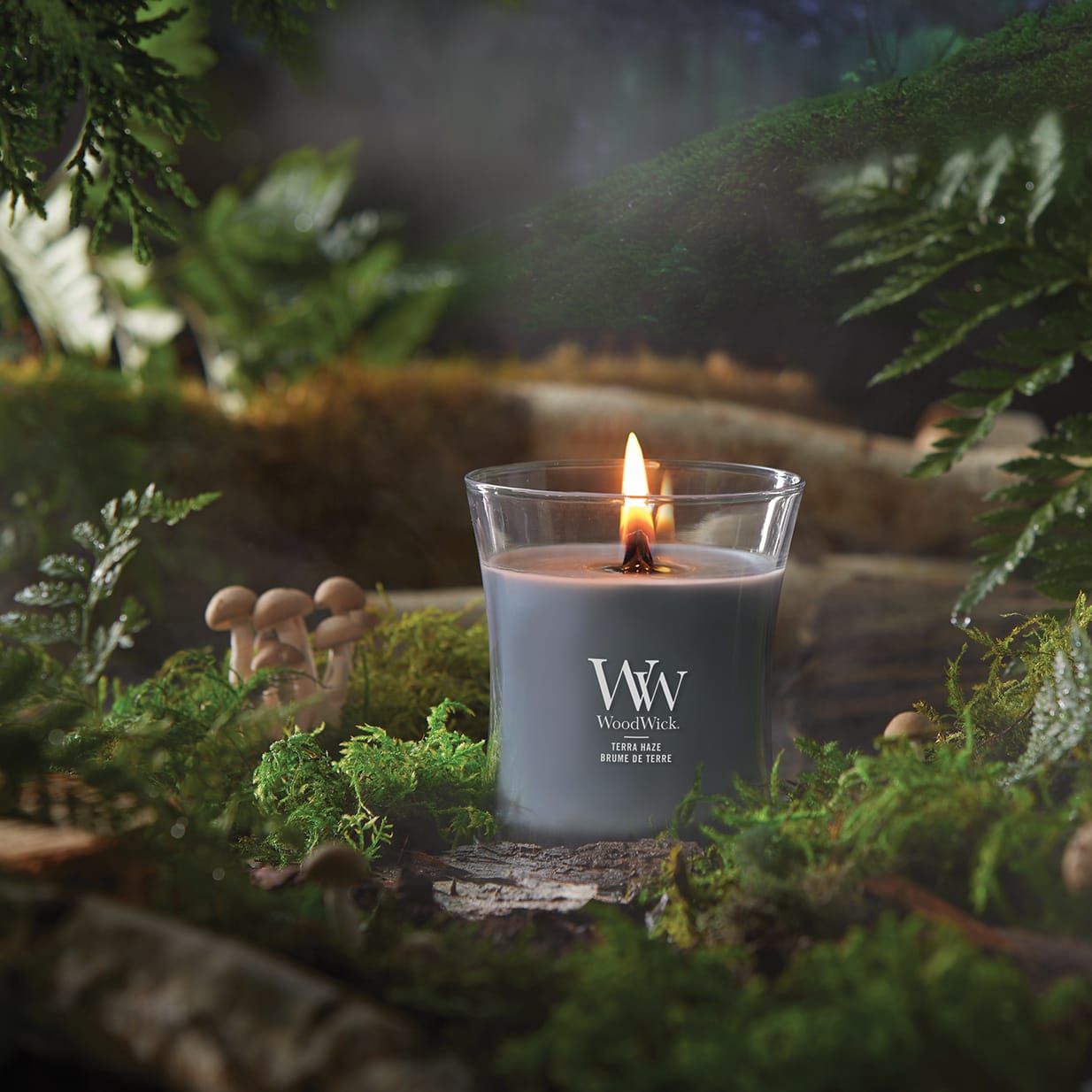 Candela a clessidra grigia in vetro, accesa. Stoppino in legno. Logo WoodWick e testo Terra Haze. Ambiente: muschio, funghi, rami.