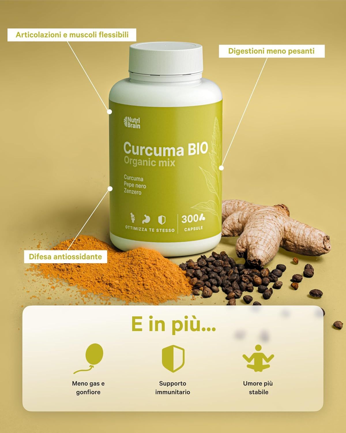 NUTRIBRAIN Curcuma Capsula