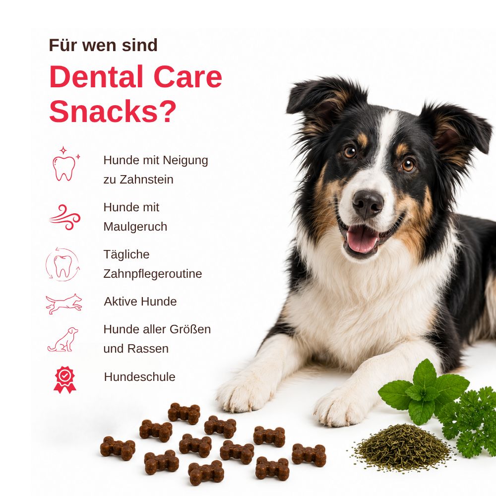 Cane con snack dentali: testo e icone spiegano i vantaggi per cani con tartaro e alito cattivo.