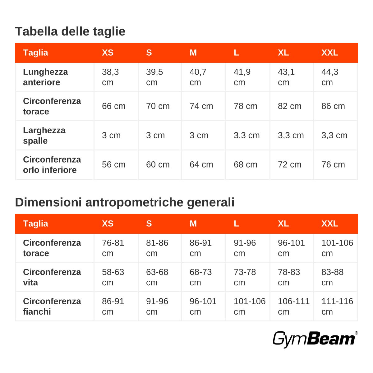 GymBeam Top sportivo donna BEAT cropped slim con scollo rotondo Berrywood