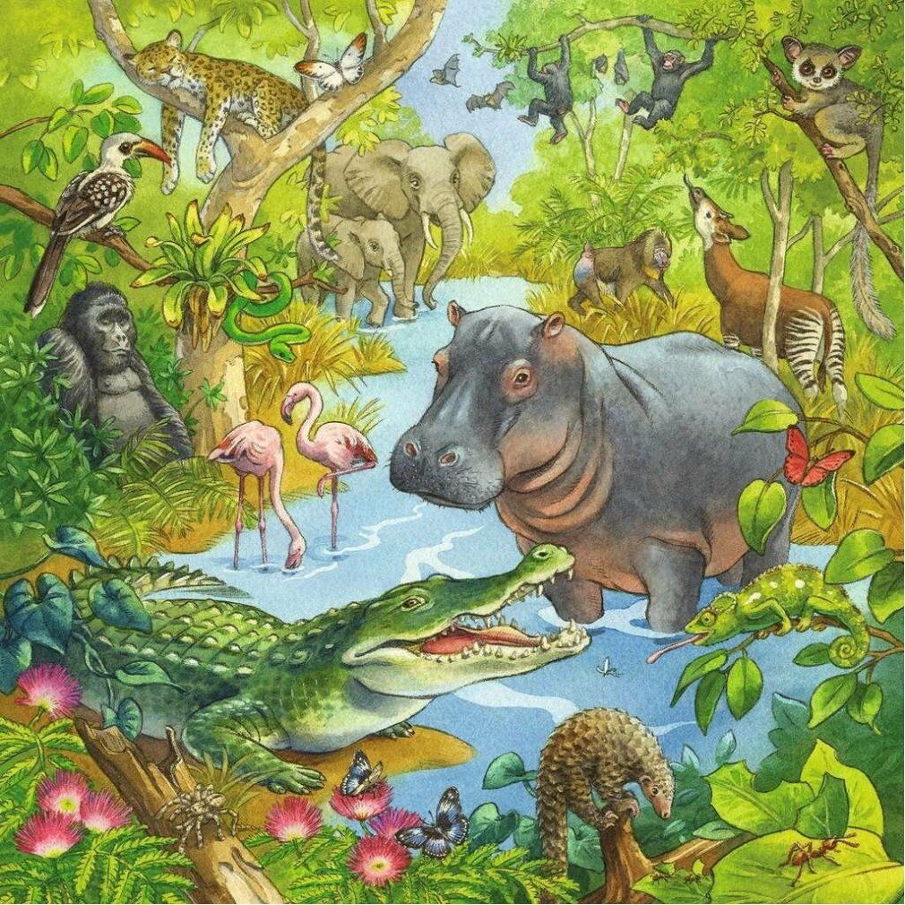 Puzzle: giungla con animali. Bradipo, giaguaro, scimmie, pappagallo e altri animali in una scena della giungla.