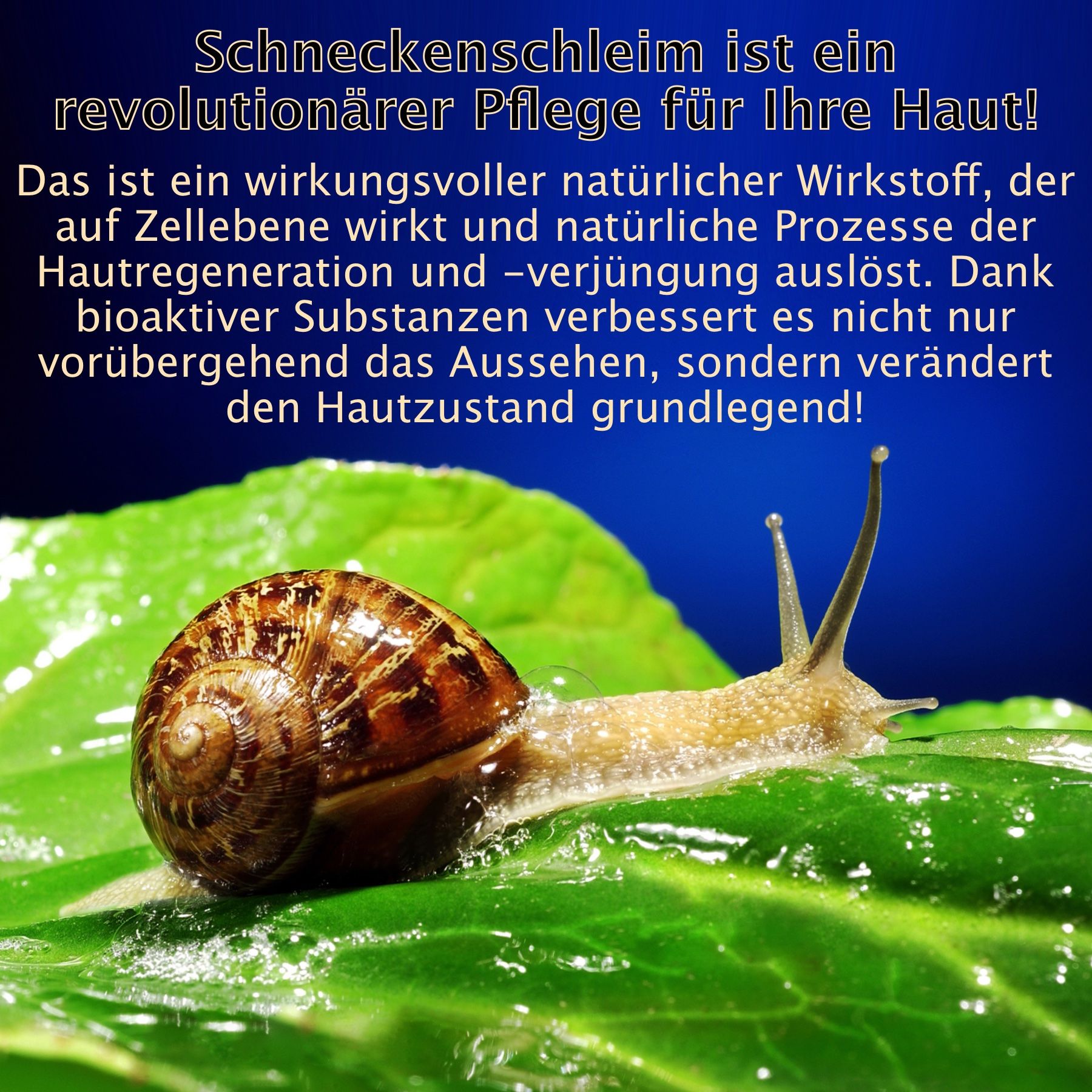 COSRX Advanced Snail 92 Crema Tutto In Uno Acido Ialuronico Antirughe Bava di Lumaca