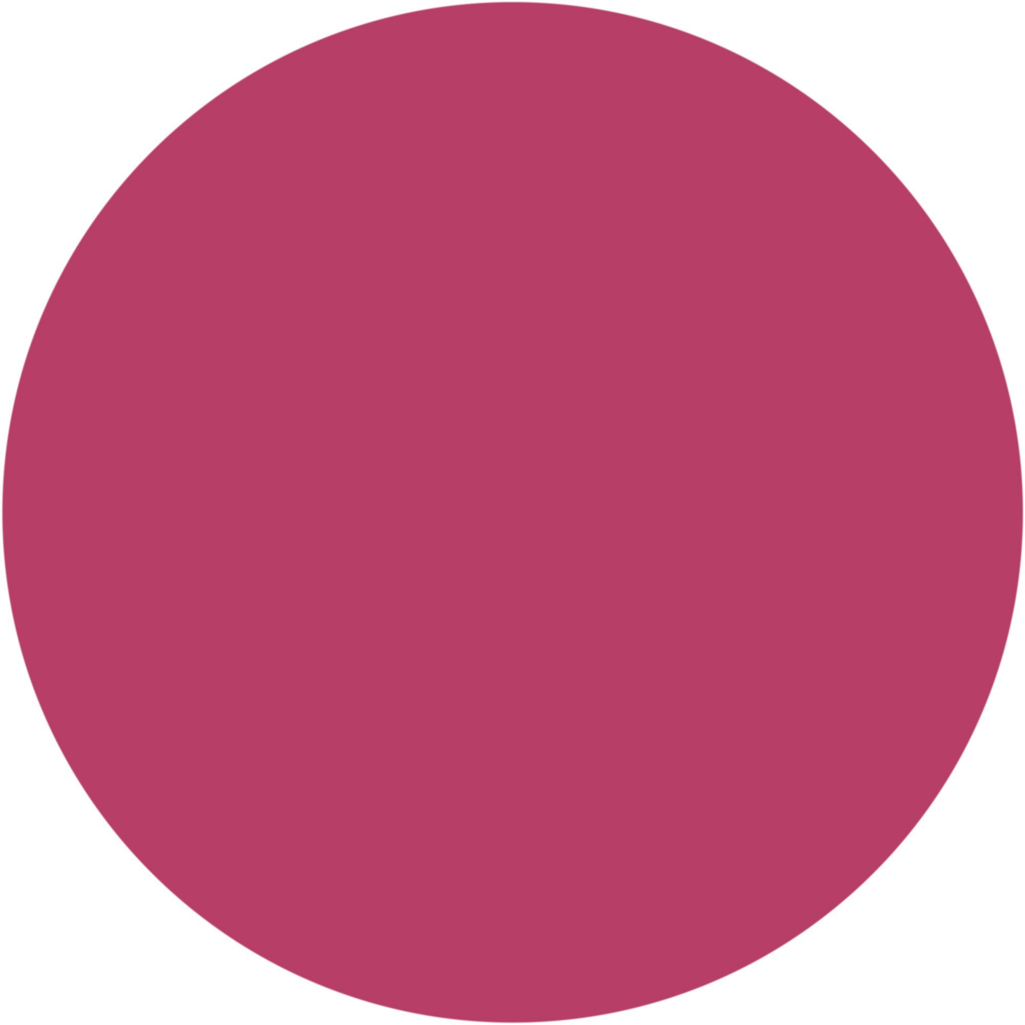 WYCON cosmetics balmy cheeks 310 telemagenta