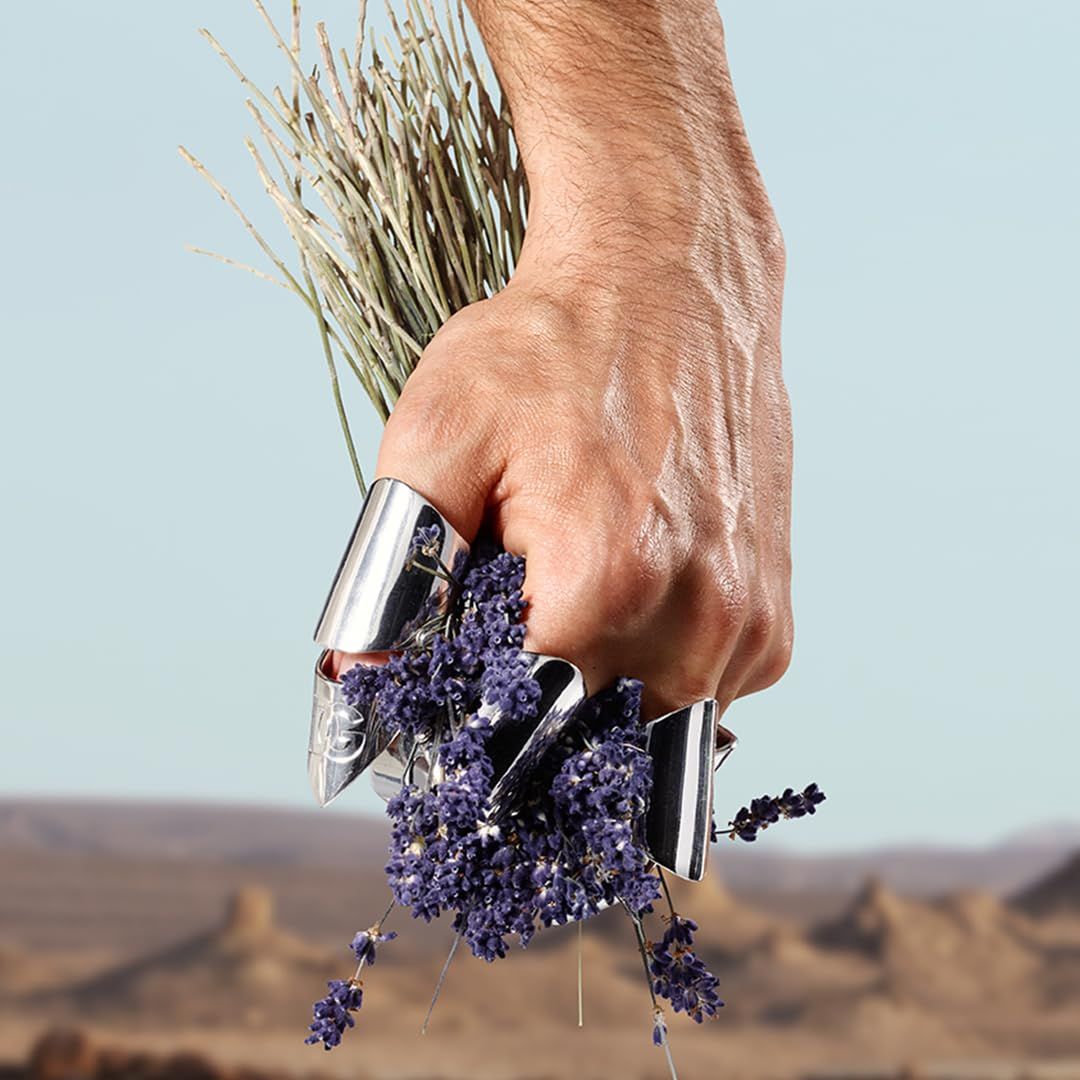 Mano che tiene lavanda e anelli d'argento. Sfondo: paesaggio desertico.