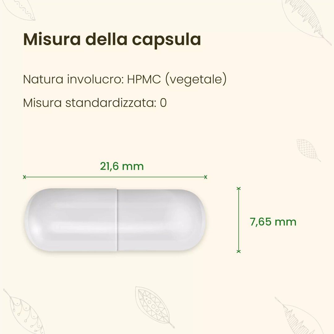 Memory & Focus - Integratore Memoria e Concentrazione