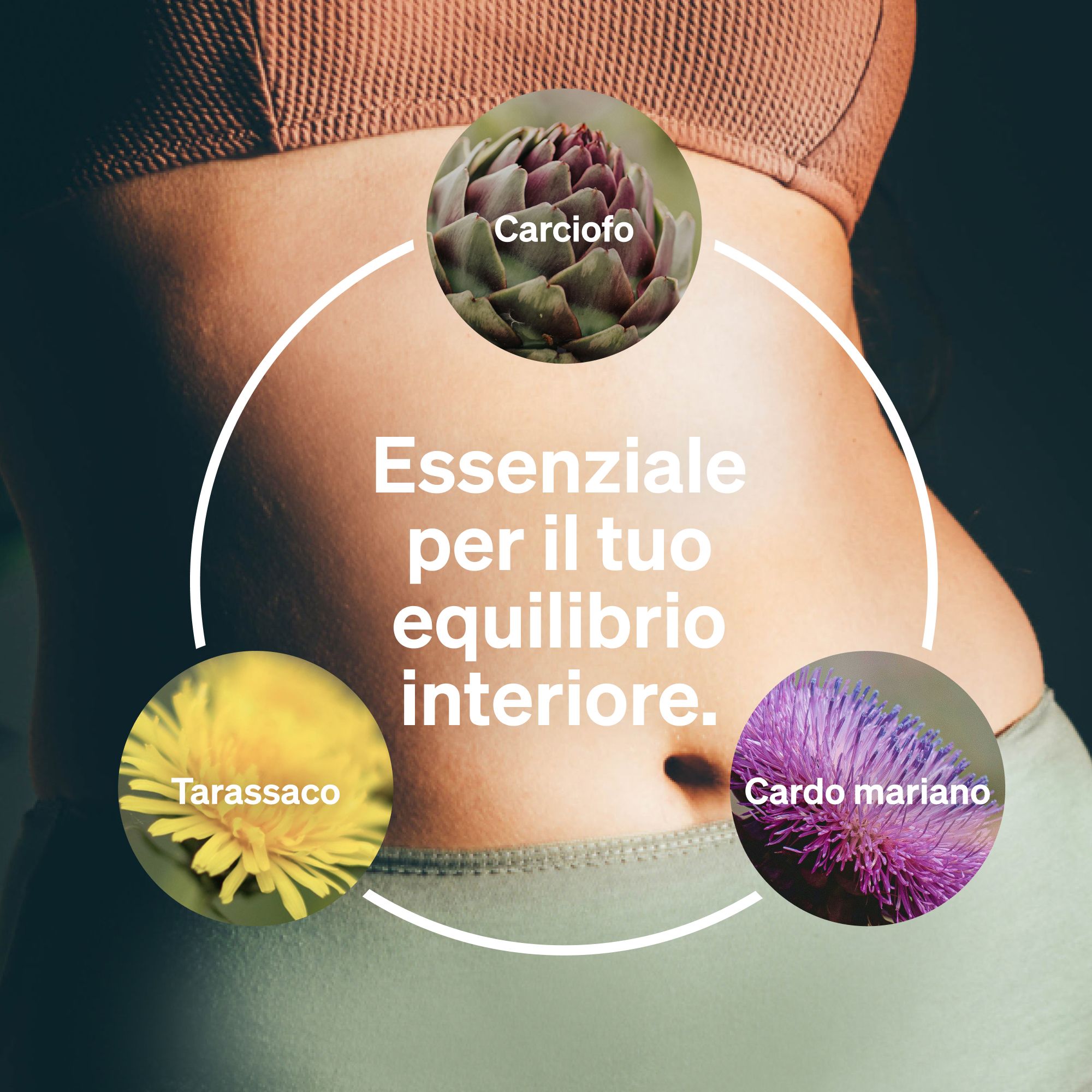 Donna con focus sull'addome, circondata da immagini di carciofo, tarassaco e cardo mariano.