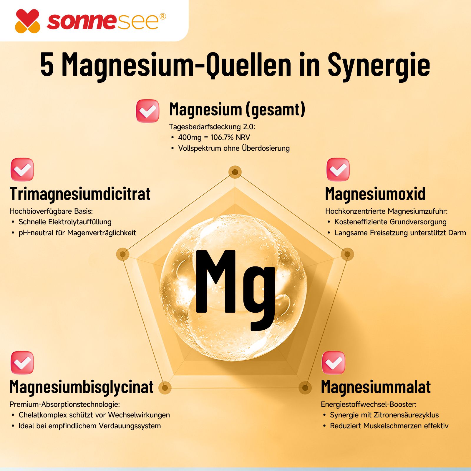Infografica: 5 fonti di magnesio in sinergia con il simbolo chimico Mg.