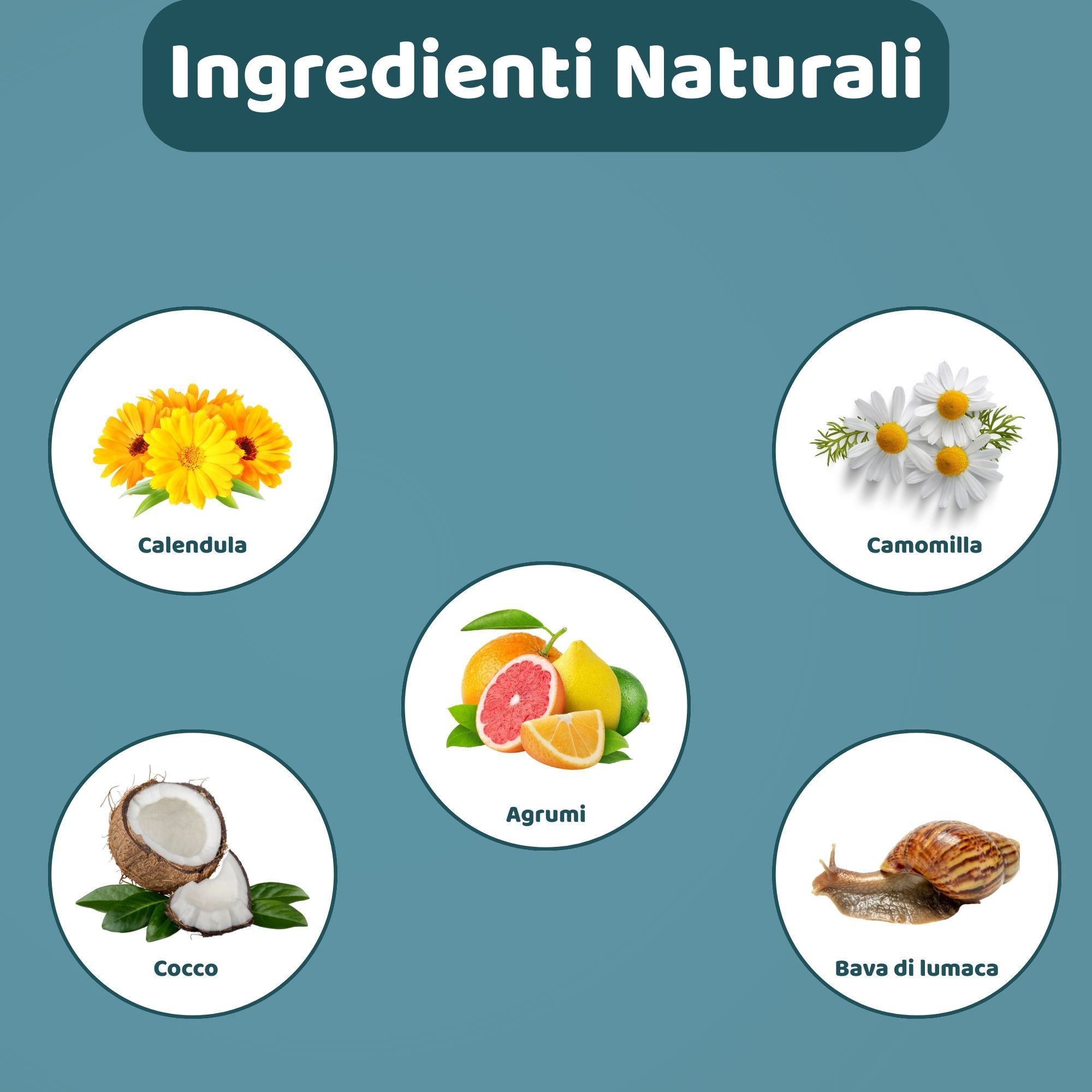 Grafica con ingredienti: Calendula, Camomilla, Cocco, Agrumi e Bava di lumaca. Testo: Ingredienti Naturali.