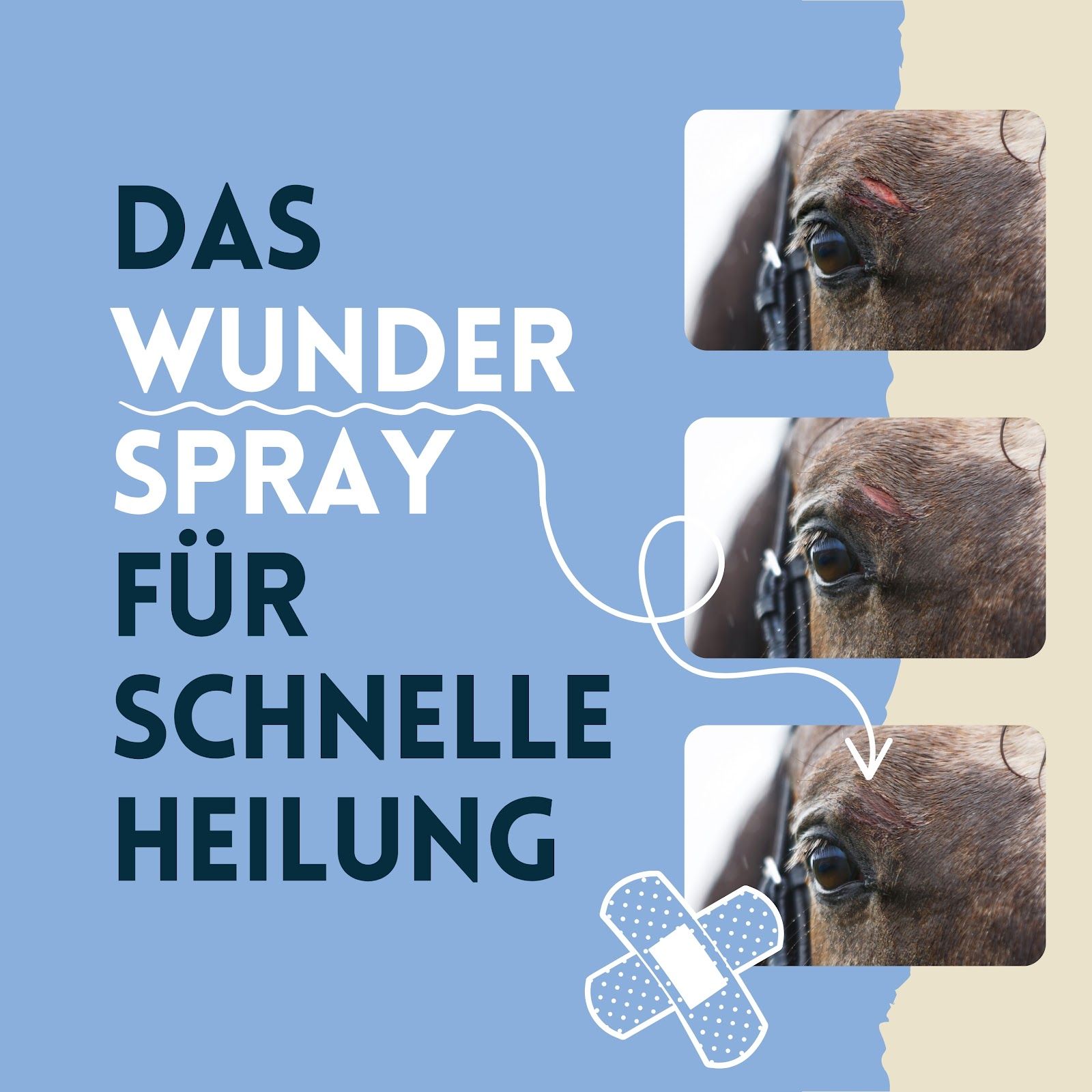 Occhio di cavallo con ferita. Testo: LO SPRAY MERAVIGLIOSO PER UNA GUARIGIONE RAPIDA. Cerotto sull'immagine.