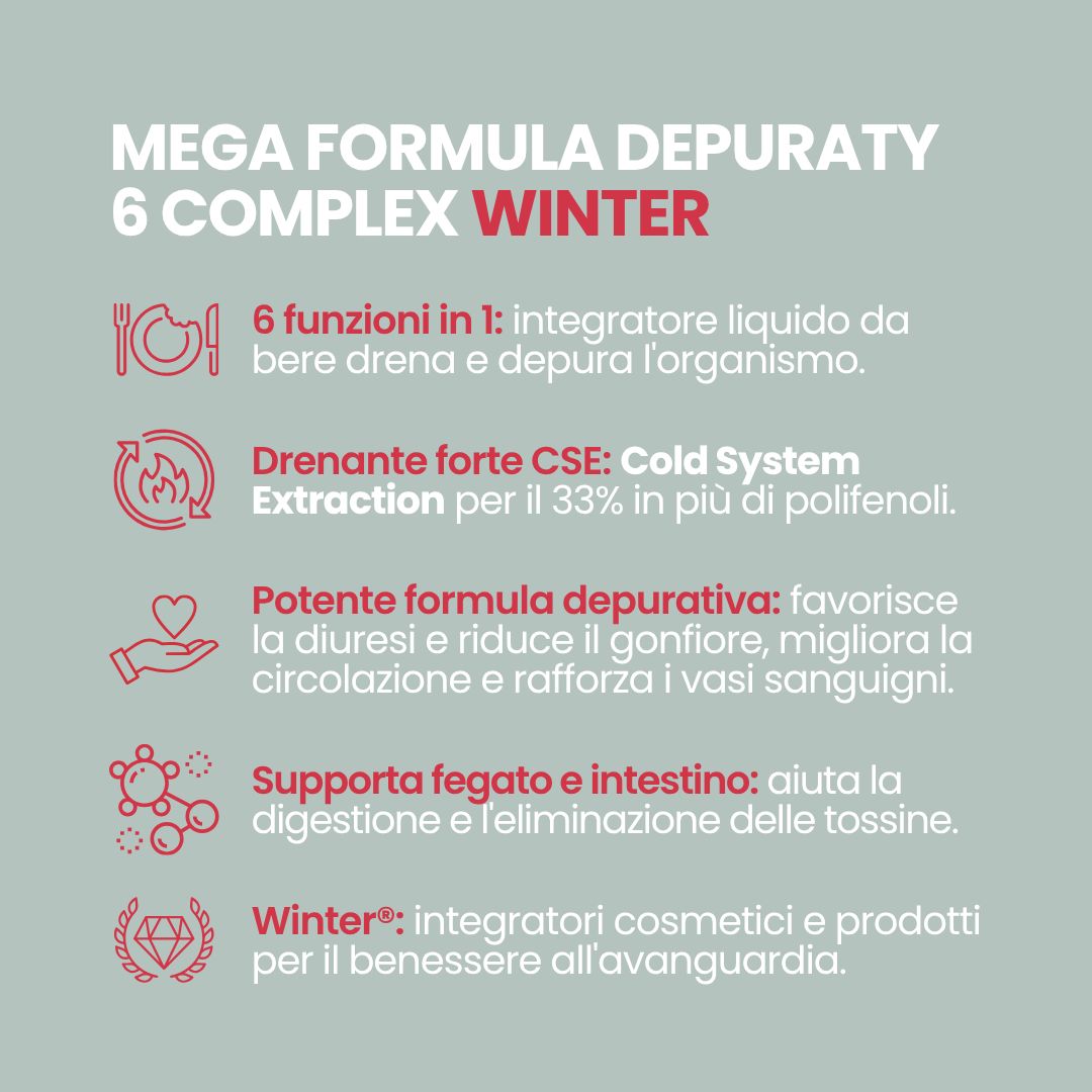 Elenco di 6 funzioni con icone: logo Winter, "Cold System Extraction" e certificato "GMP".