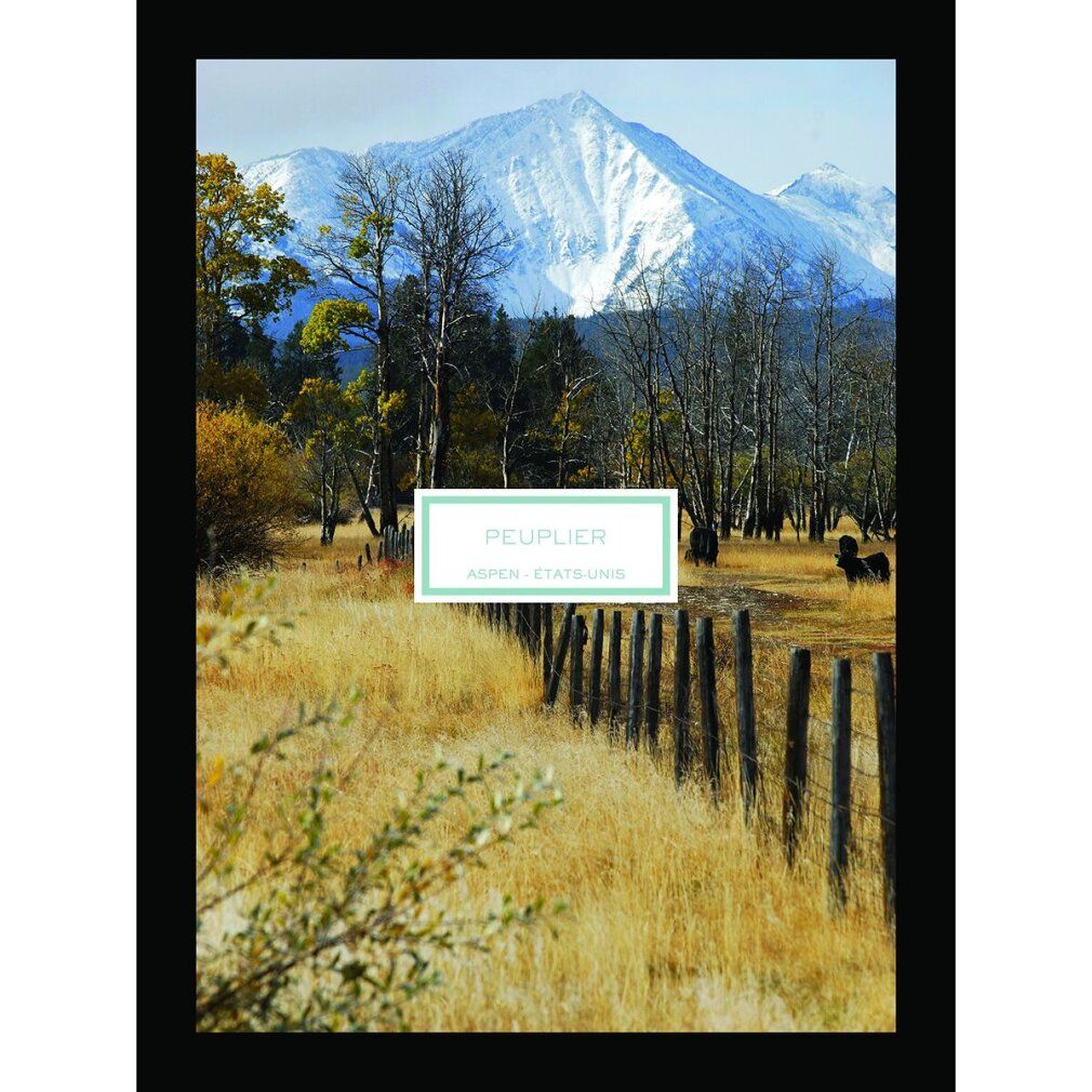 Paesaggio con montagna e campo. Scritta: PEUPLIER, ASPEN, ÉTATS-UNIS. Cornice nera. Campo con recinzione e montagna sullo sfondo.