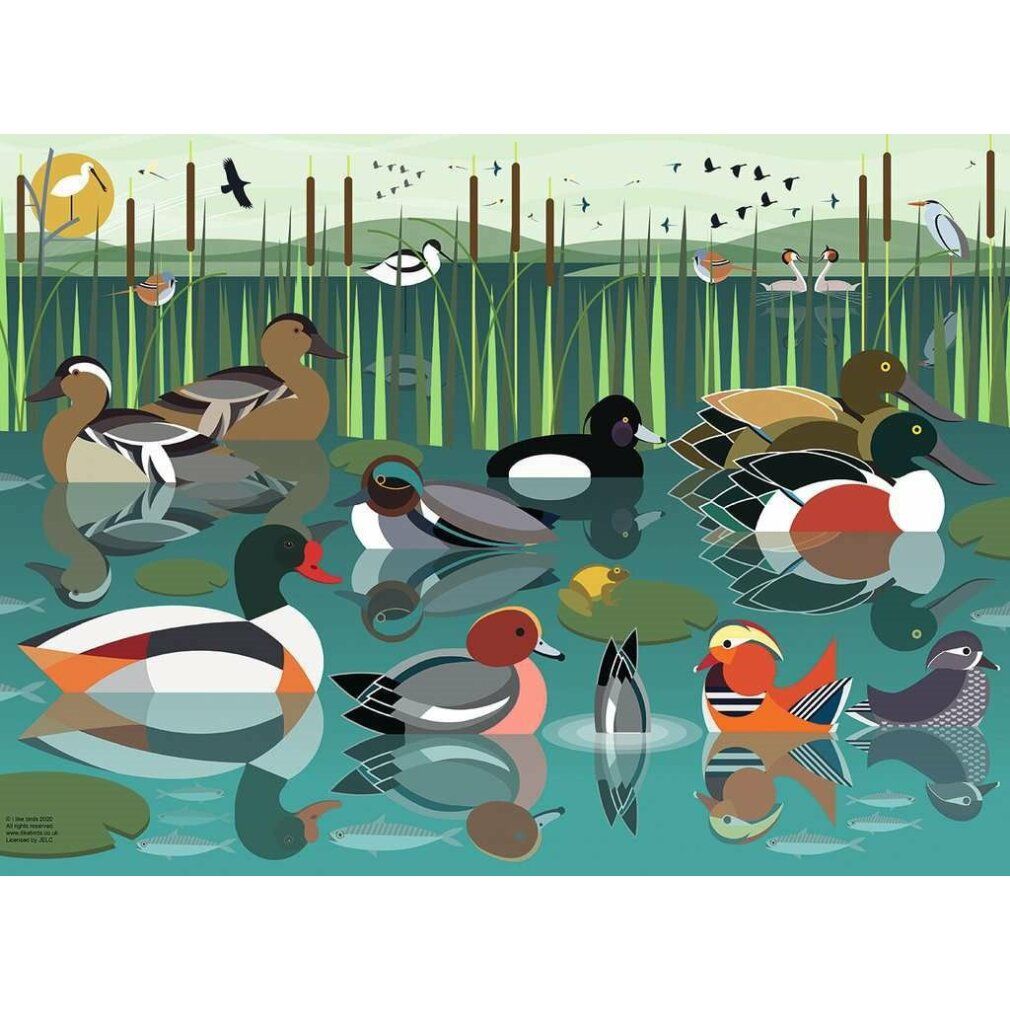 Puzzle con illustrazione di anatre. Anatre sull'acqua, canne, sole, uccelli sullo sfondo. Colori: verde, blu, marrone, arancione.