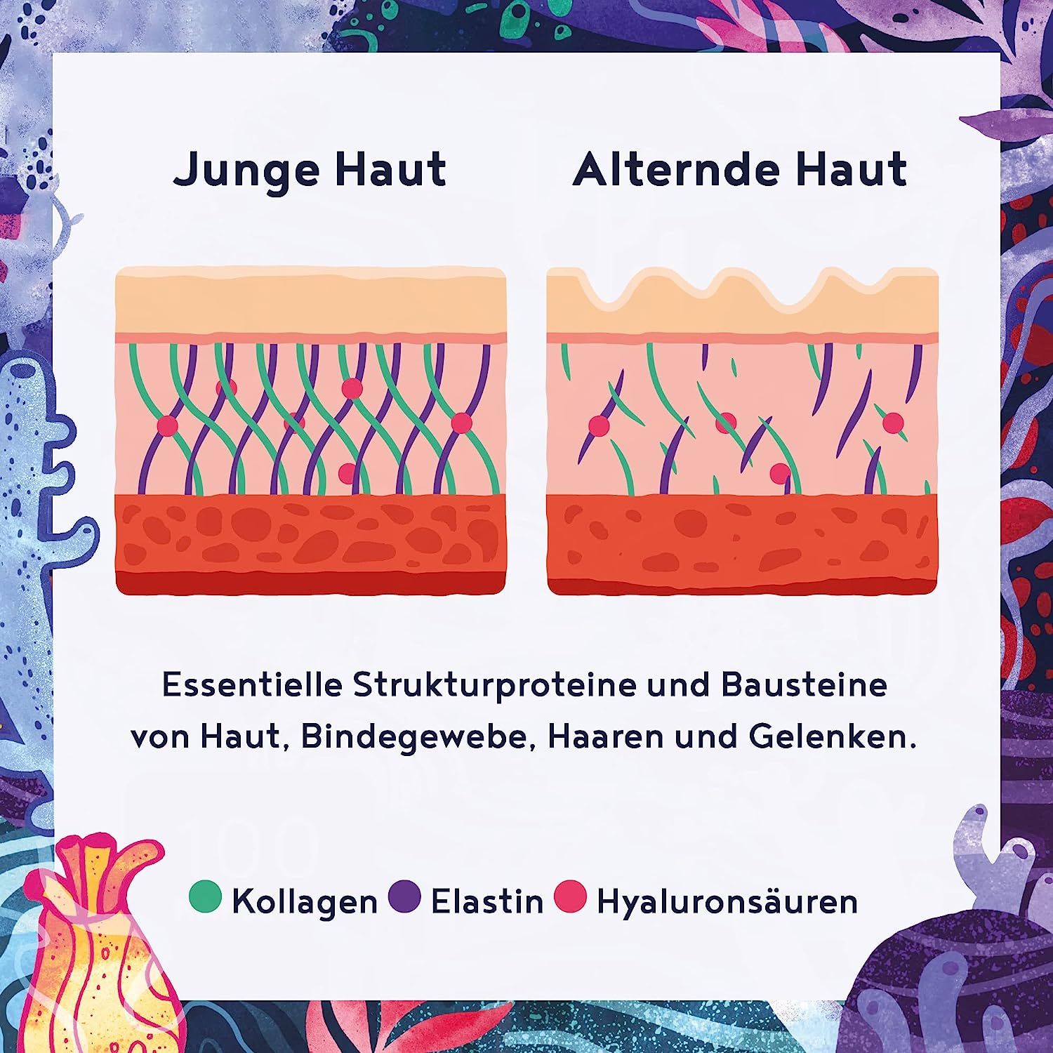 Grafico che confronta la pelle giovane e quella invecchiata. Didascalia: Proteine strutturali essenziali e componenti di pelle, tessuto connettivo, capelli e articolazioni.