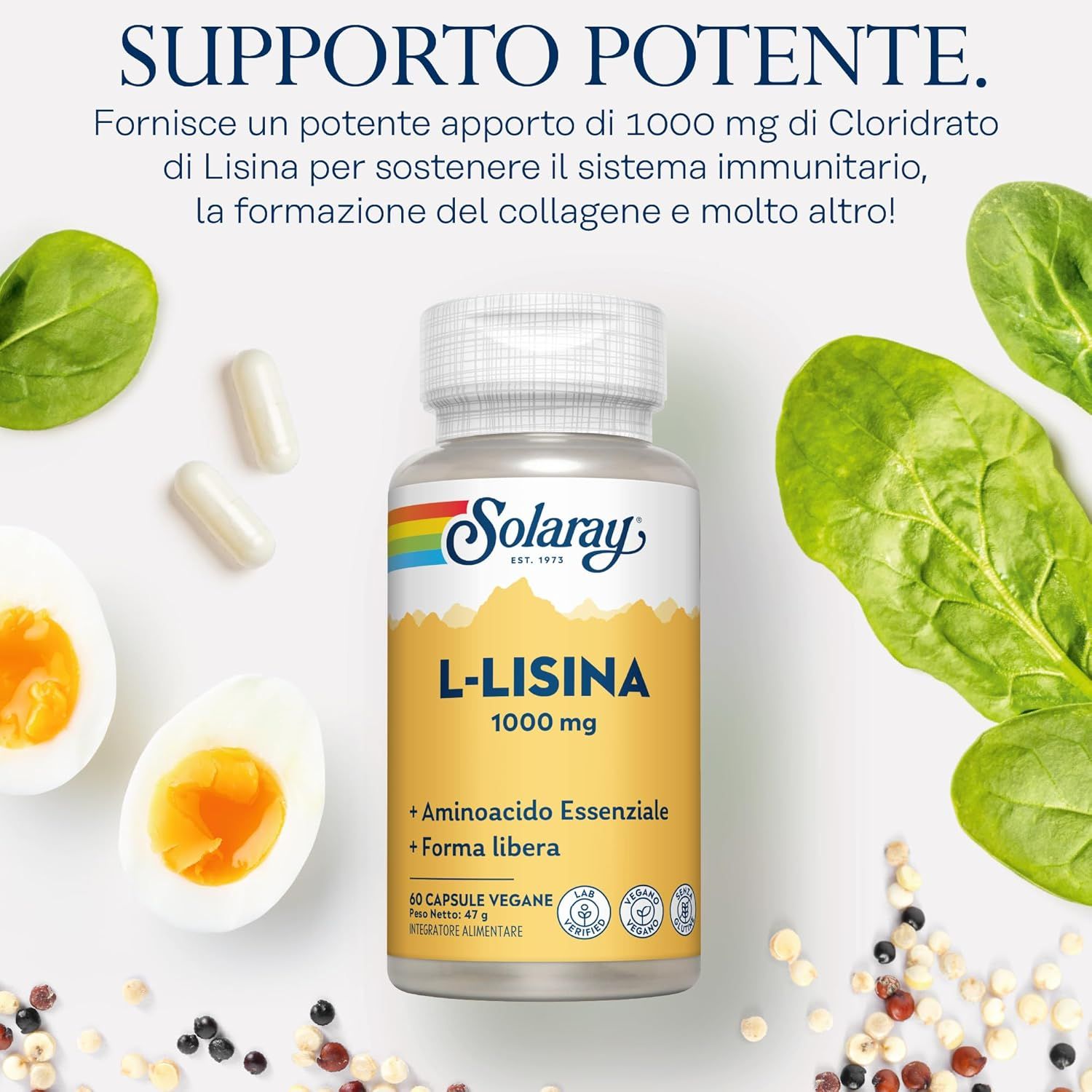 Capsule Solaray L-Lisina: Flacone da 60 capsule vegane, 1000 mg di L-Lisina. Sigilli: Testato in laboratorio, vegano, senza glutine.
