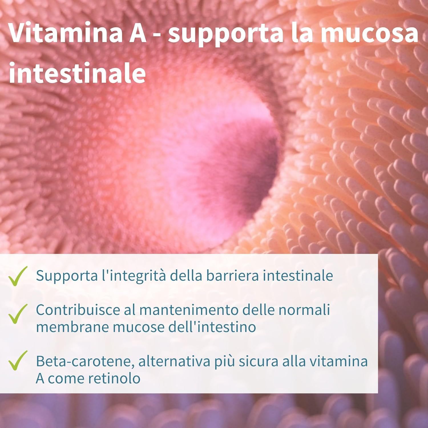 Igennus Probiotici: Senza glutine, lattosio, soia. Approvato dalla Vegan Society.