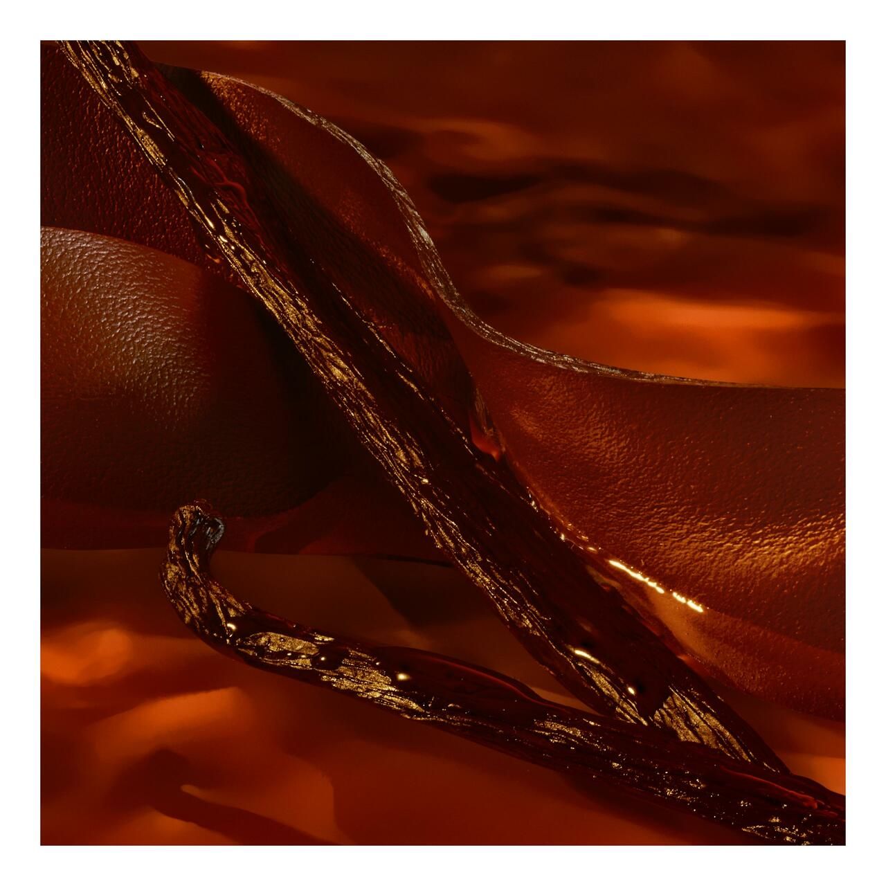 Primo piano di una bacca di vaniglia e liquido. Liquido marrone dorato, baccello di vaniglia scuro. Superficie strutturata.