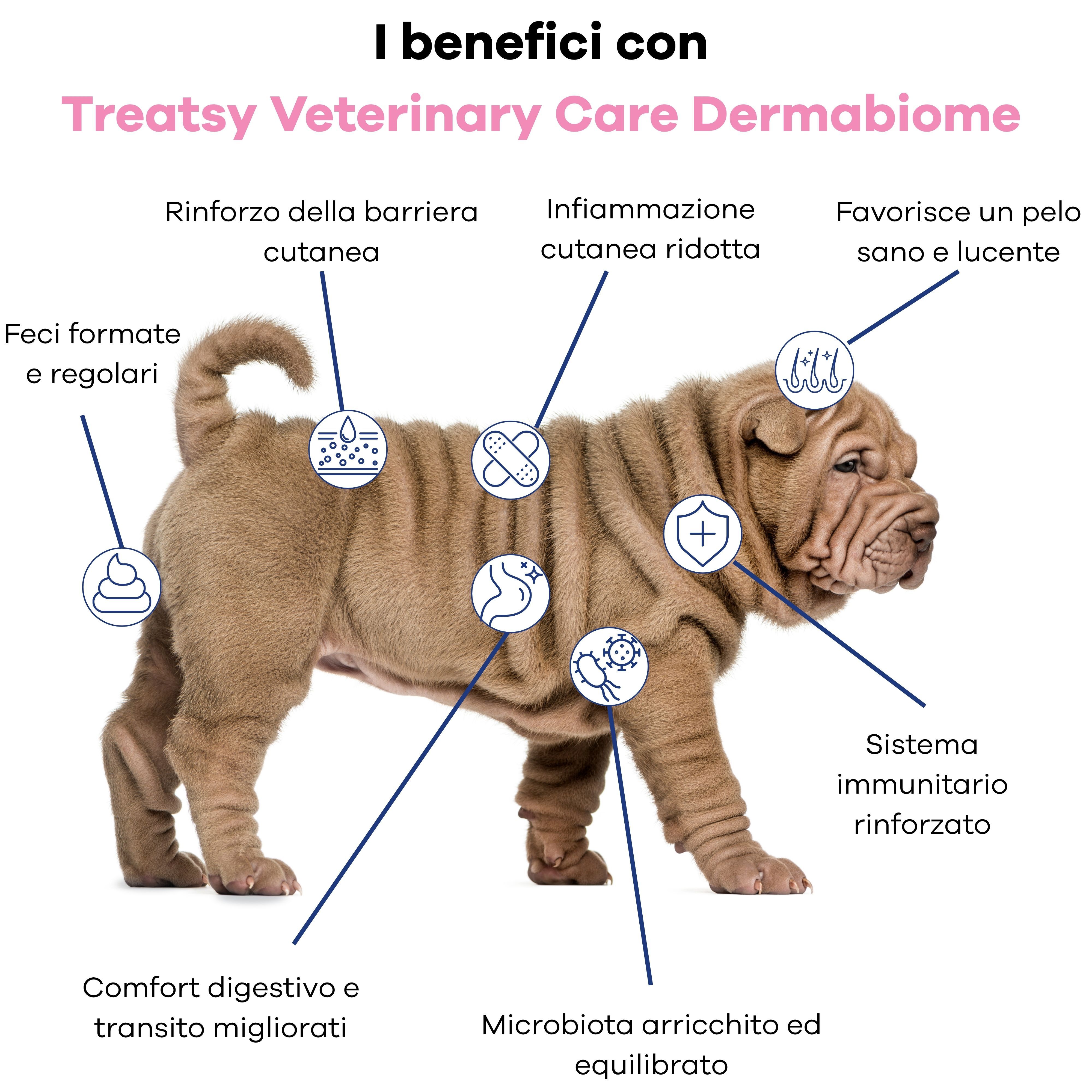 Un cane con icone che evidenziano i benefici per pelle, digestione e sistema immunitario.