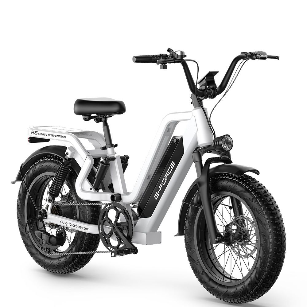 G-FORCE RS ST Bicicletta elettrica da 20 pollici per tutti i terreni, batteria da 48 V 20 Ah