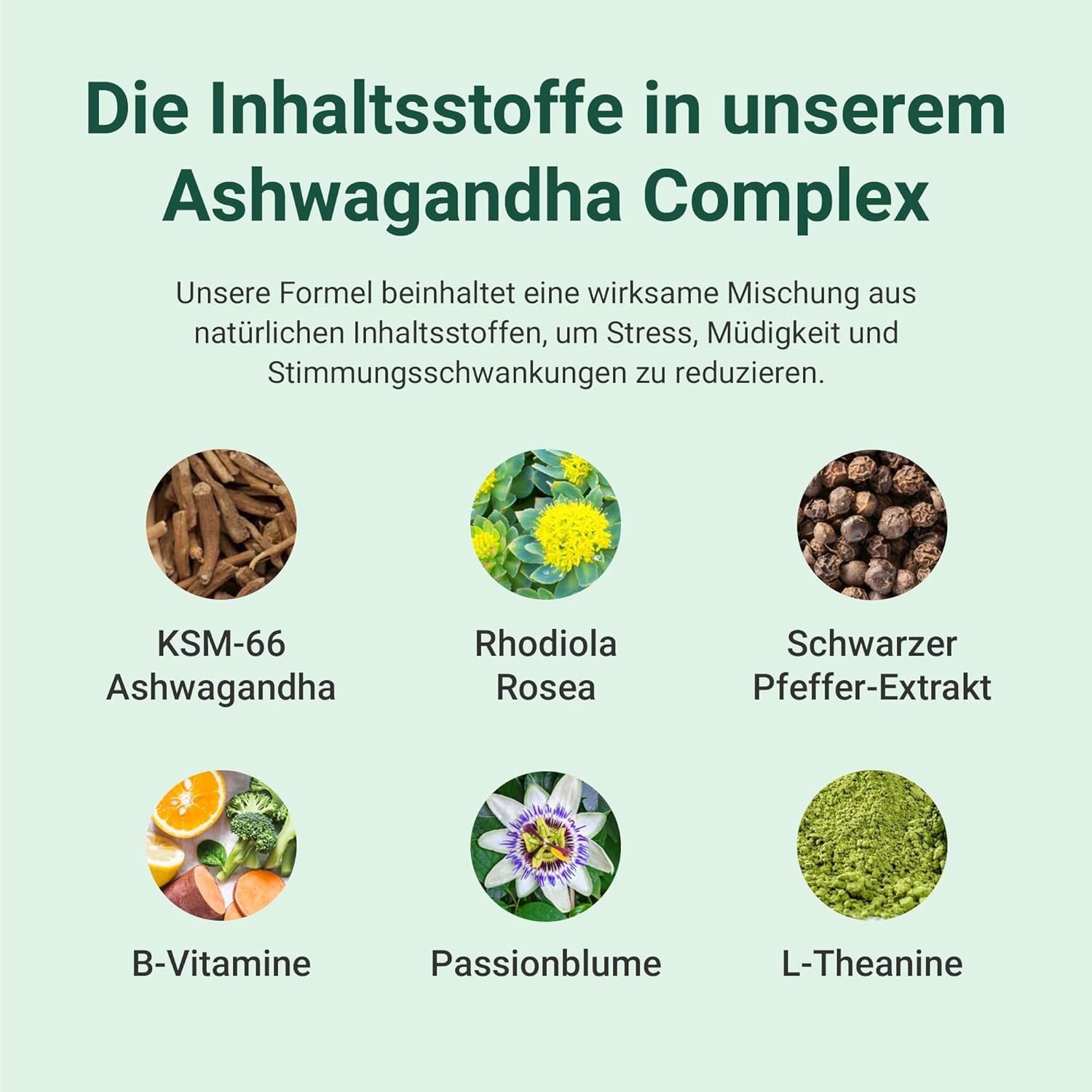 Sei illustrazioni di ingredienti. Testo: KSM-66 Ashwagandha, Rhodiola Rosea, Estratto di pepe nero, Vitamine B, Passiflora, L-Teanina.