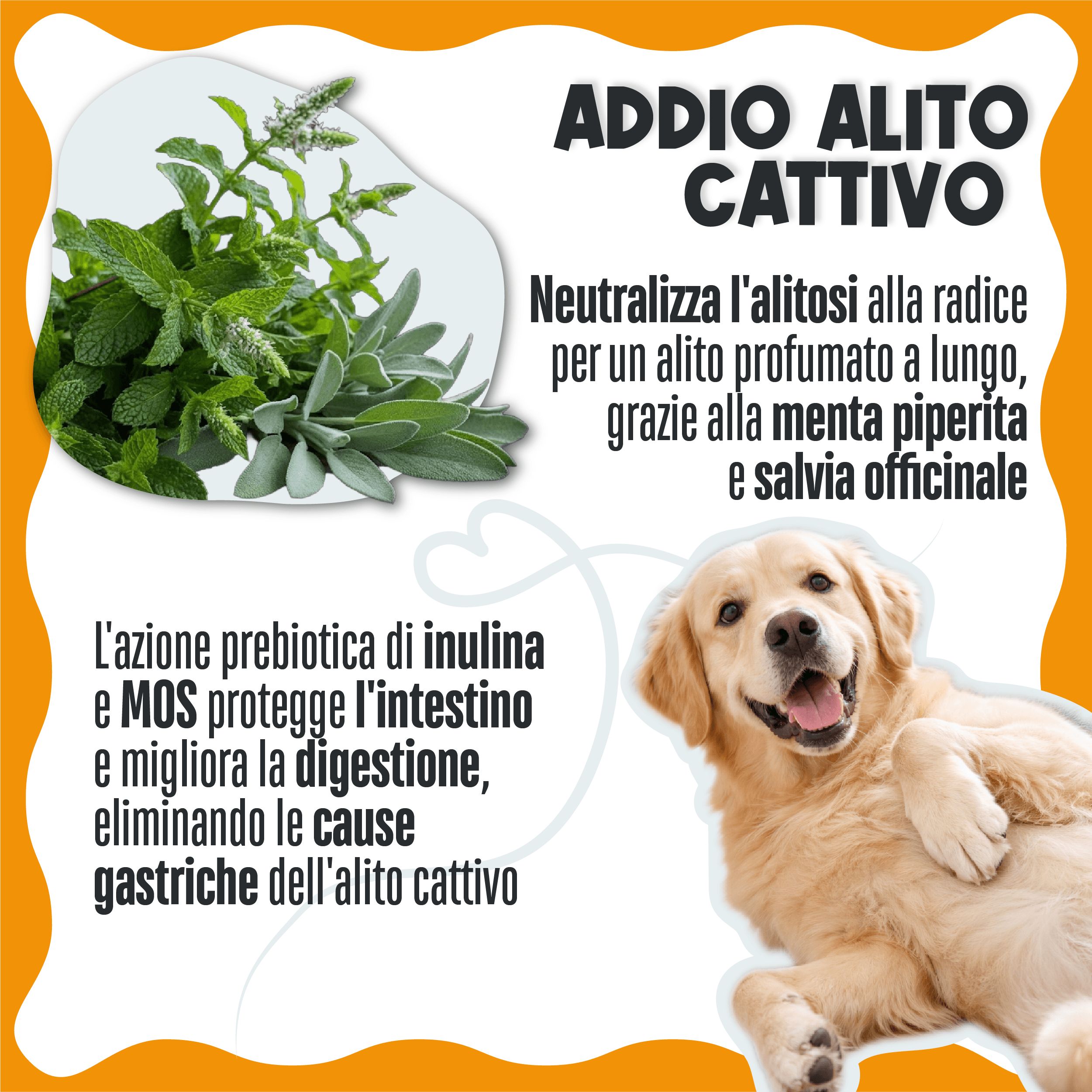 Pulizia Denti Cane e Gatto, Polvere Dentale Sciogli Tartaro e Placca | Dentifricio Senza Spazzolino