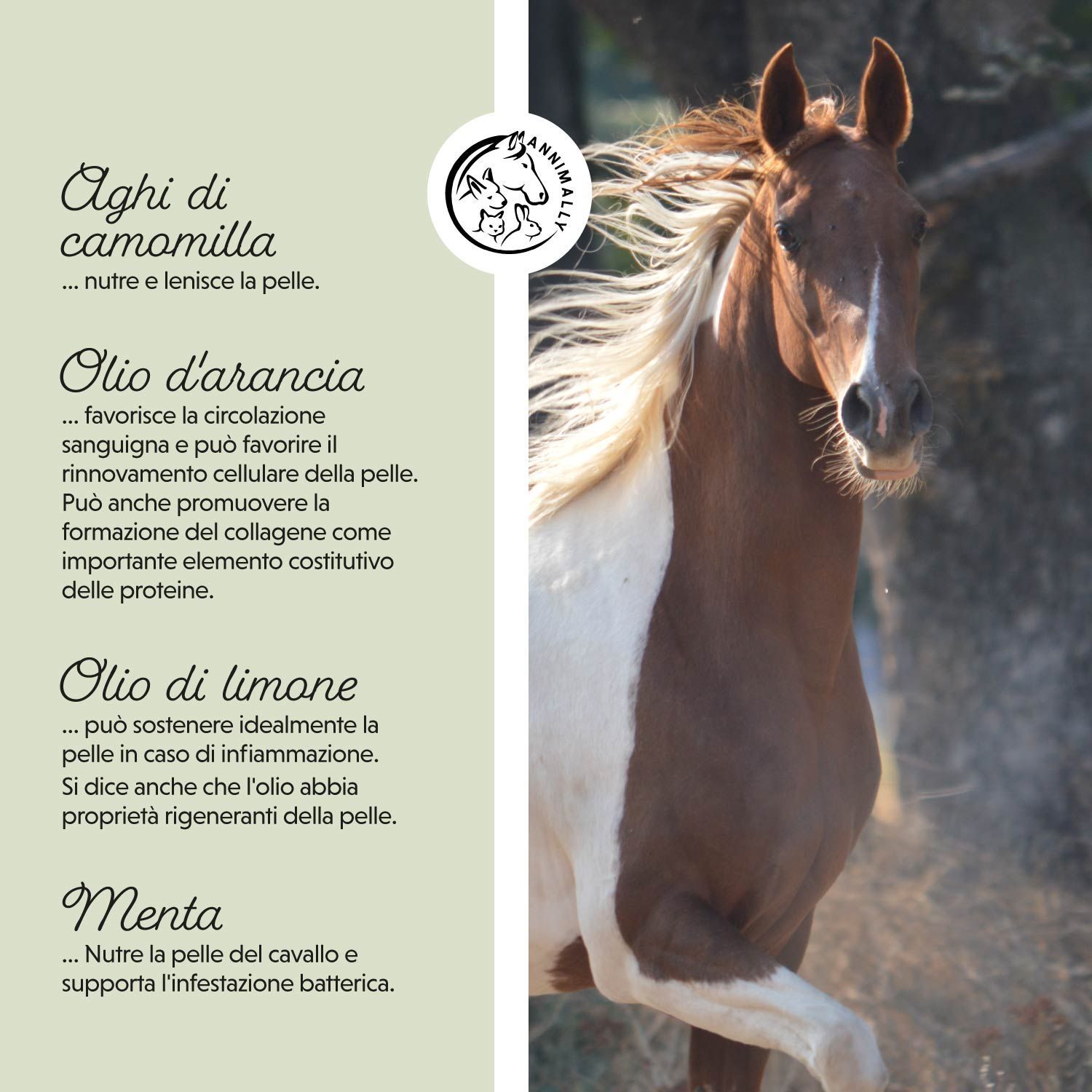 Testo: Agli di camomilla, Olio d'arancia, Olio di limone, Menta. Cavallo. Testo sugli ingredienti e i loro effetti.