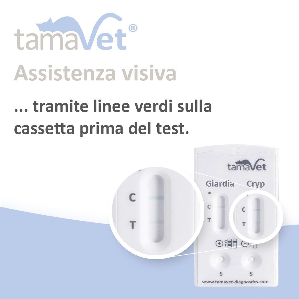 Cassetta di test con linee verdi. Testo: Assistenza visiva tramite linee verdi prima del test.
