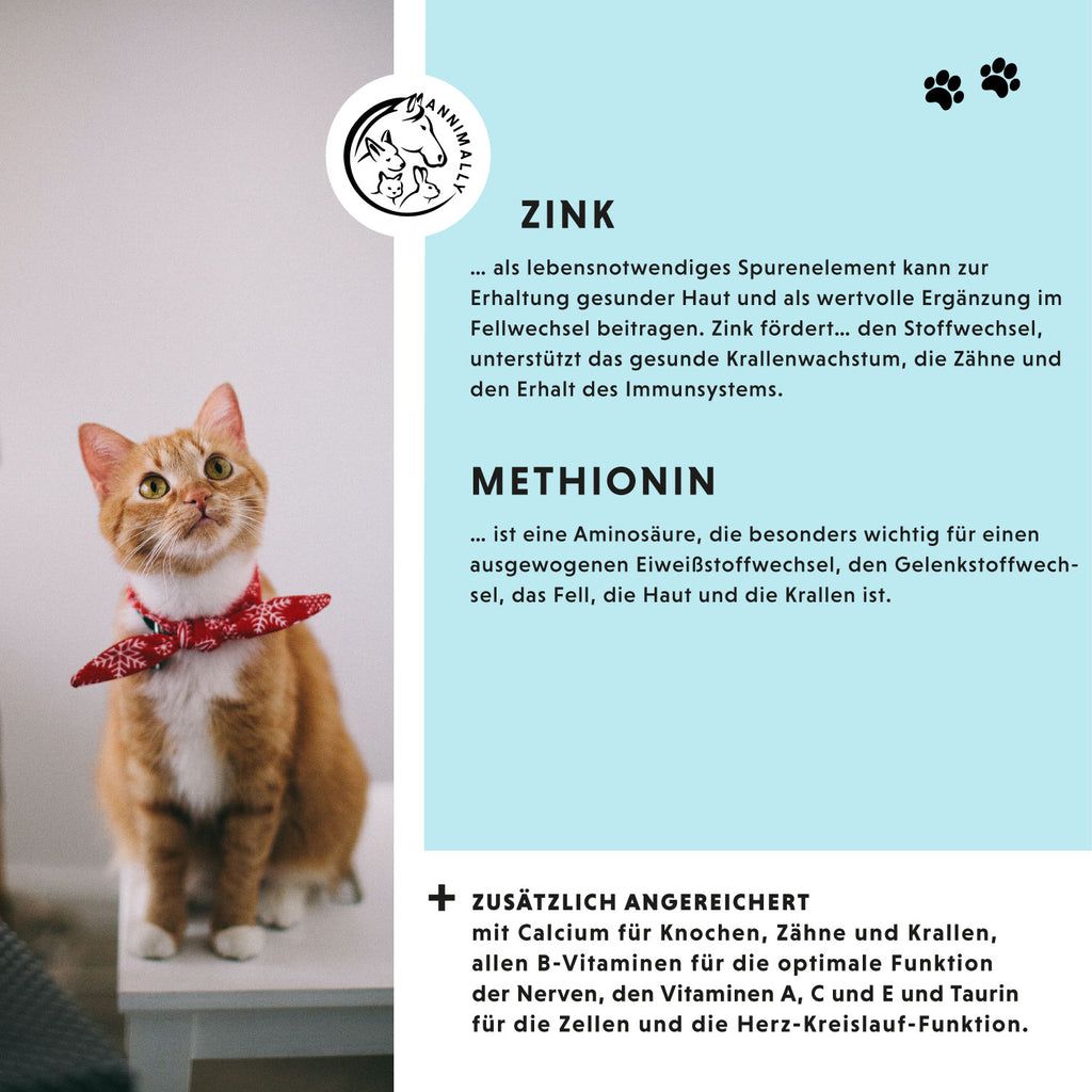 Testo su sfondo blu. Ingredienti: Zinco, metionina. Arricchito con calcio, vitamine B. Immagine di gatto.
